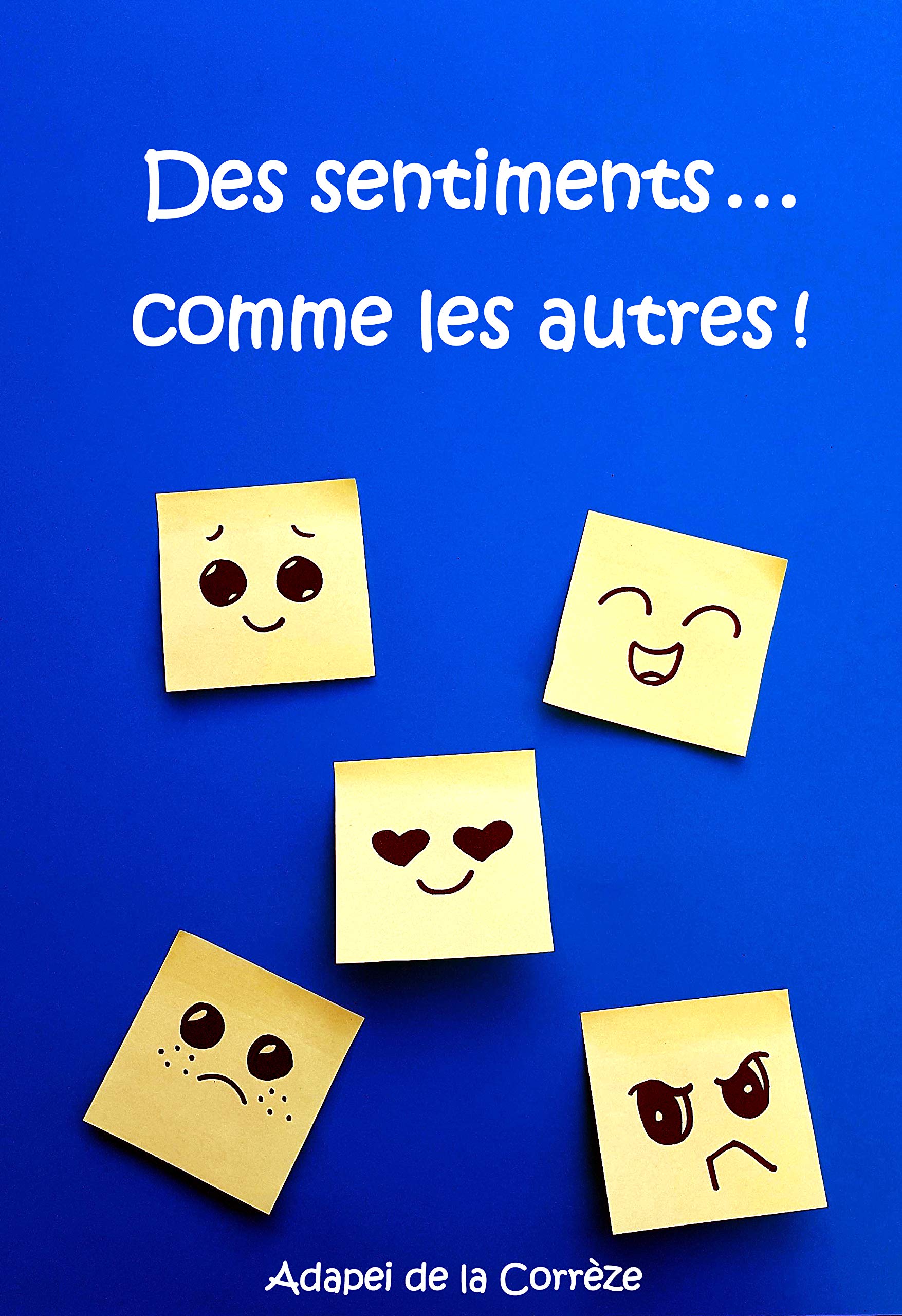 Des sentiments... comme les autres ! 9782956520603