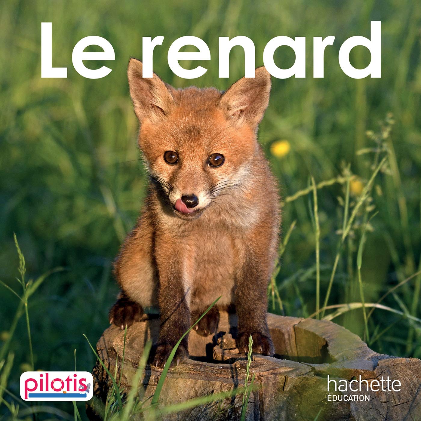 Lecture CP - Collection Pilotis - Le Renard - Album - Edition 2019 9782016271834
