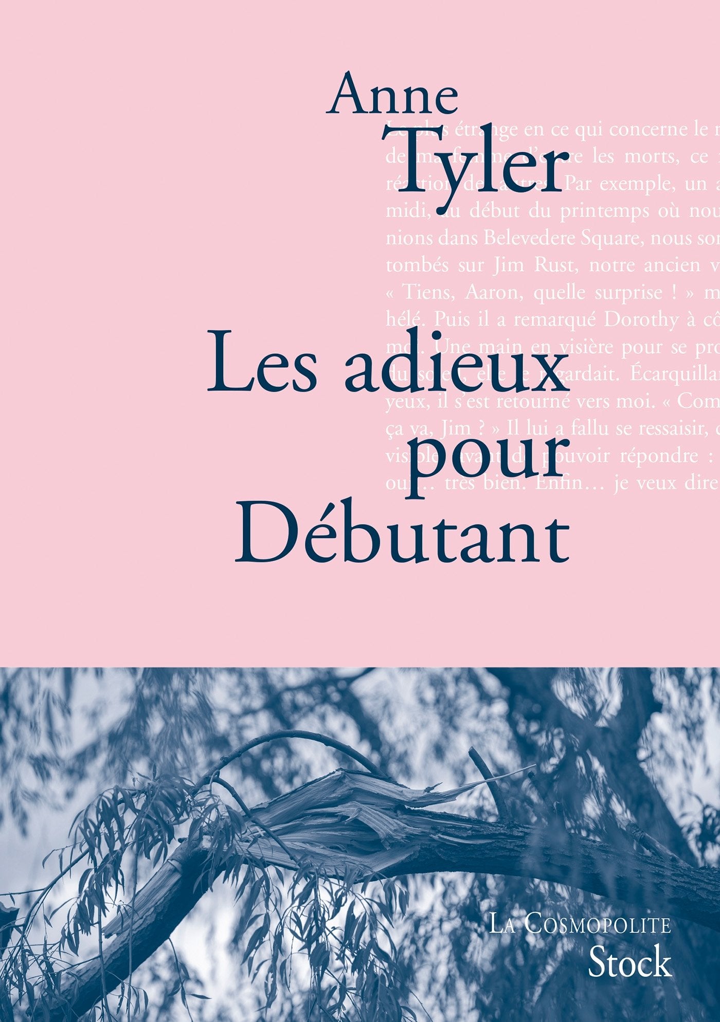 Les adieux pour Débutants: Traduit de l’anglais (États-Unis) par Sylvie Schneiter 9782234074088