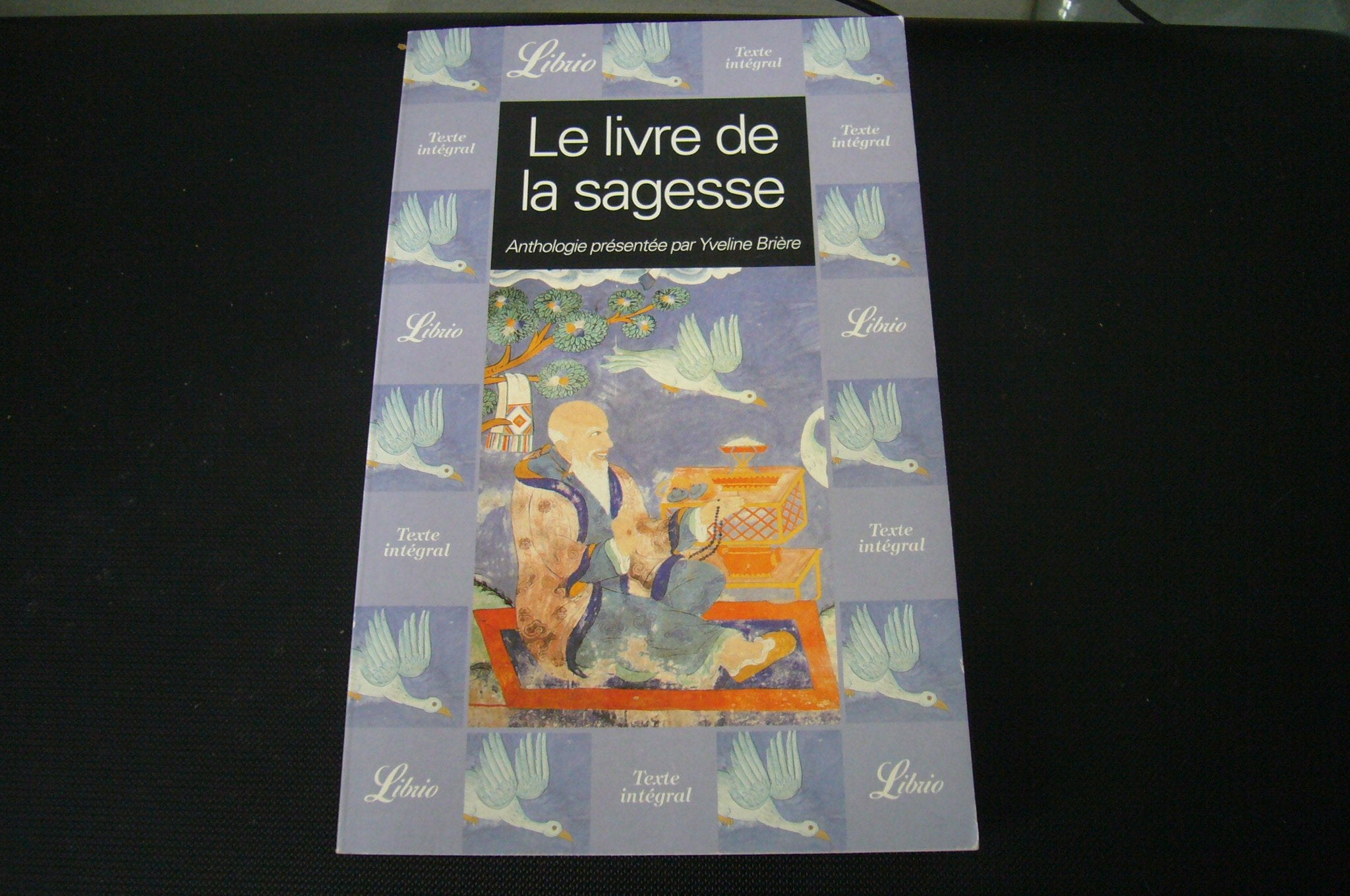 Livre de la sagesse (Le) 9782290314623