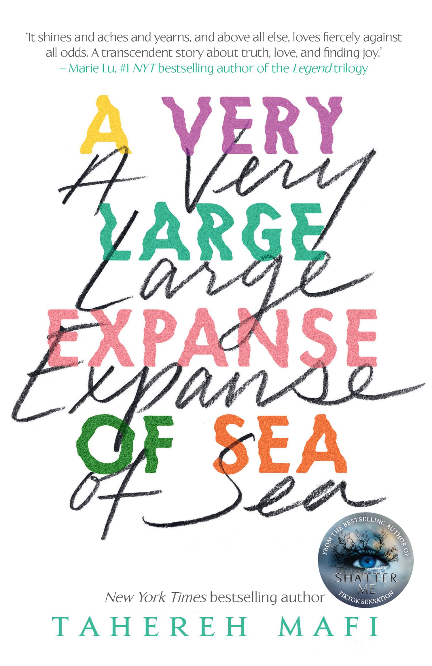 A Very Large Expanse of Sea 9781405292603
