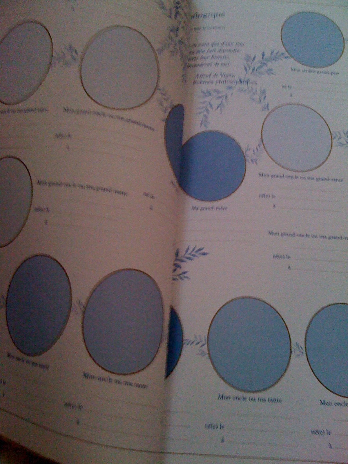 Le livre d'or de notre famille 9782846600002