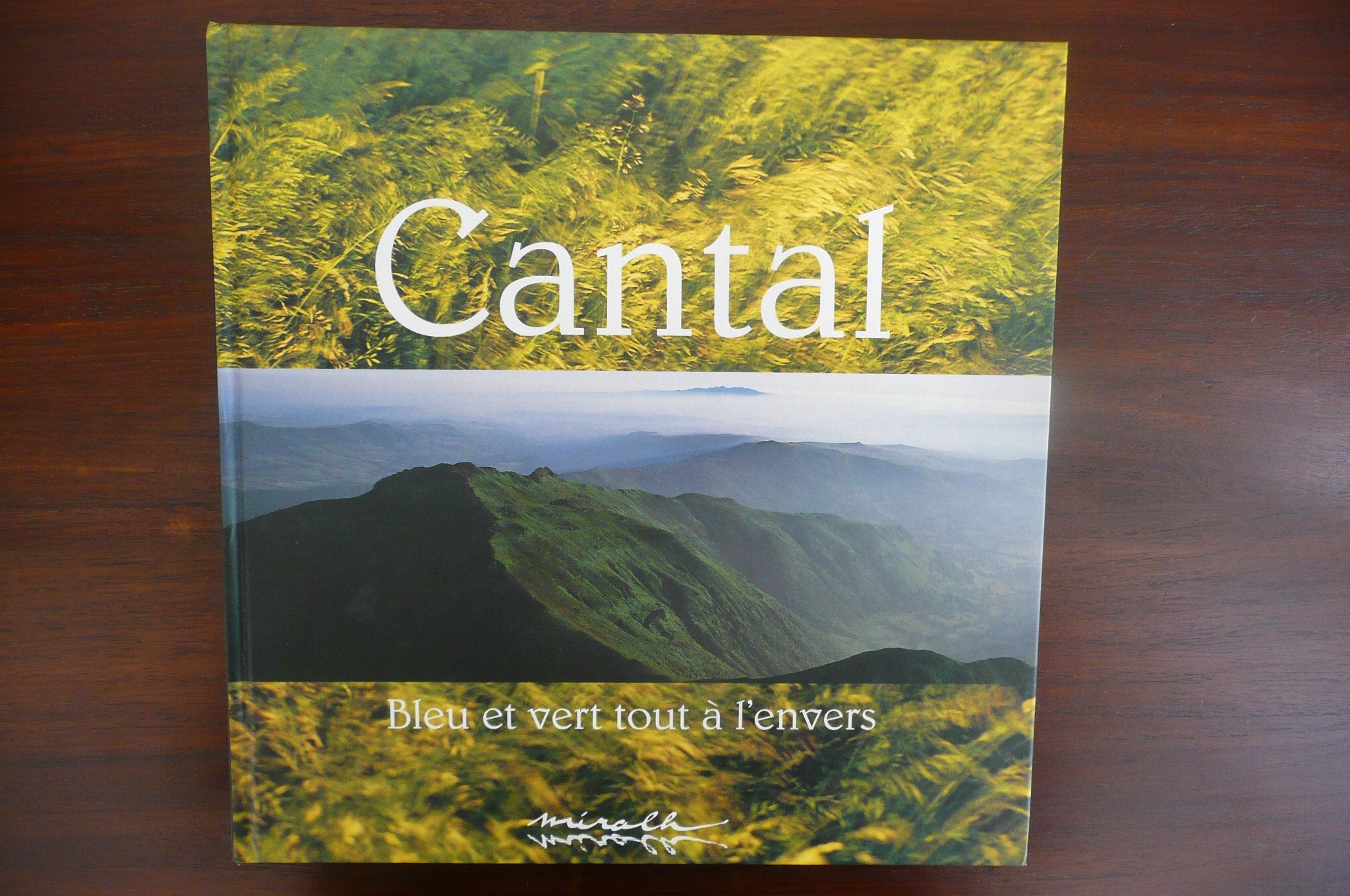 Cantal: Bleu et vert, tout à l'envers 9782859101787