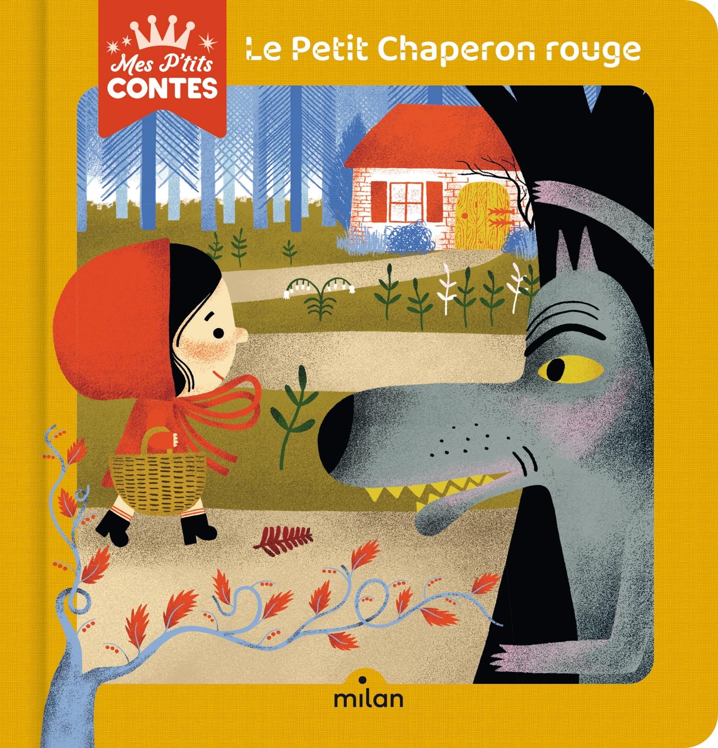 Le Petit Chaperon rouge 9782408037994