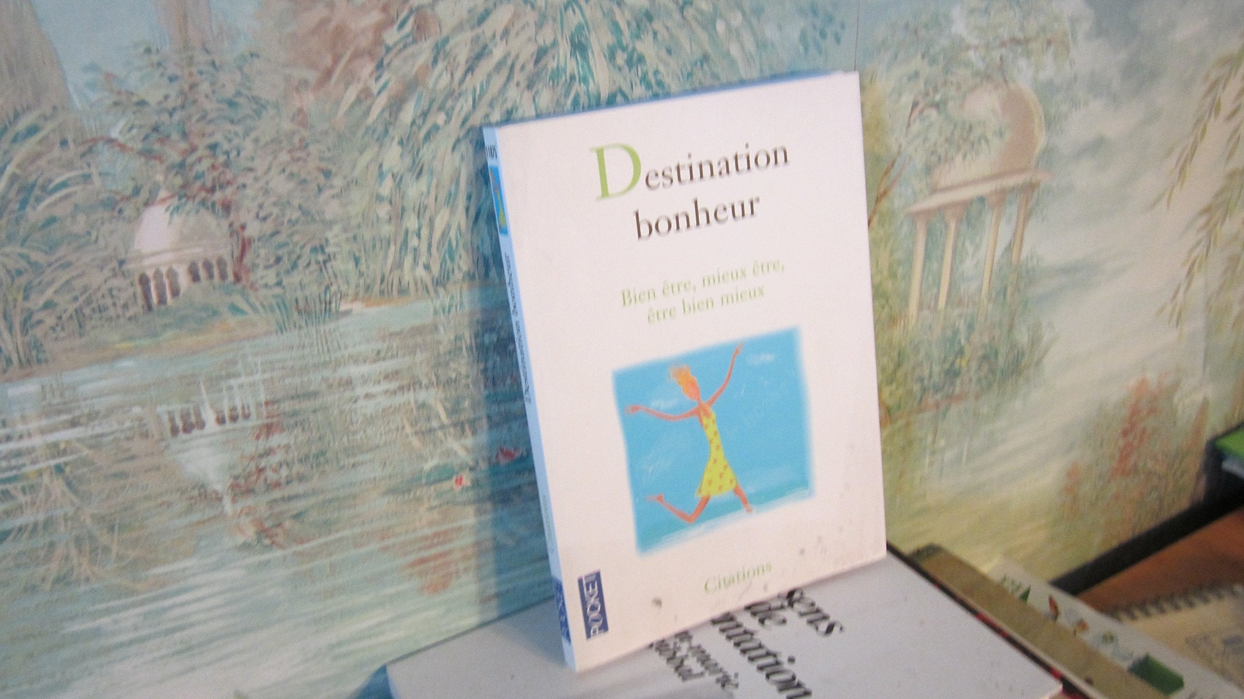 Destination bonheur 9782266131247