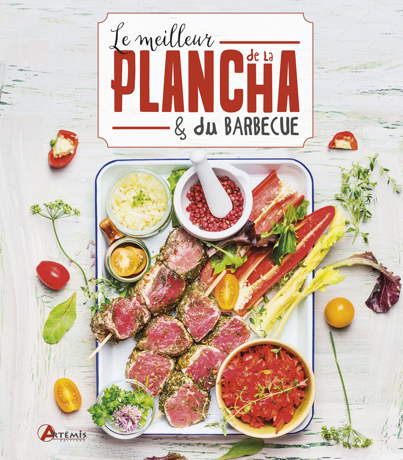 Le meilleur de la plancha et du barbecue 9782816012965
