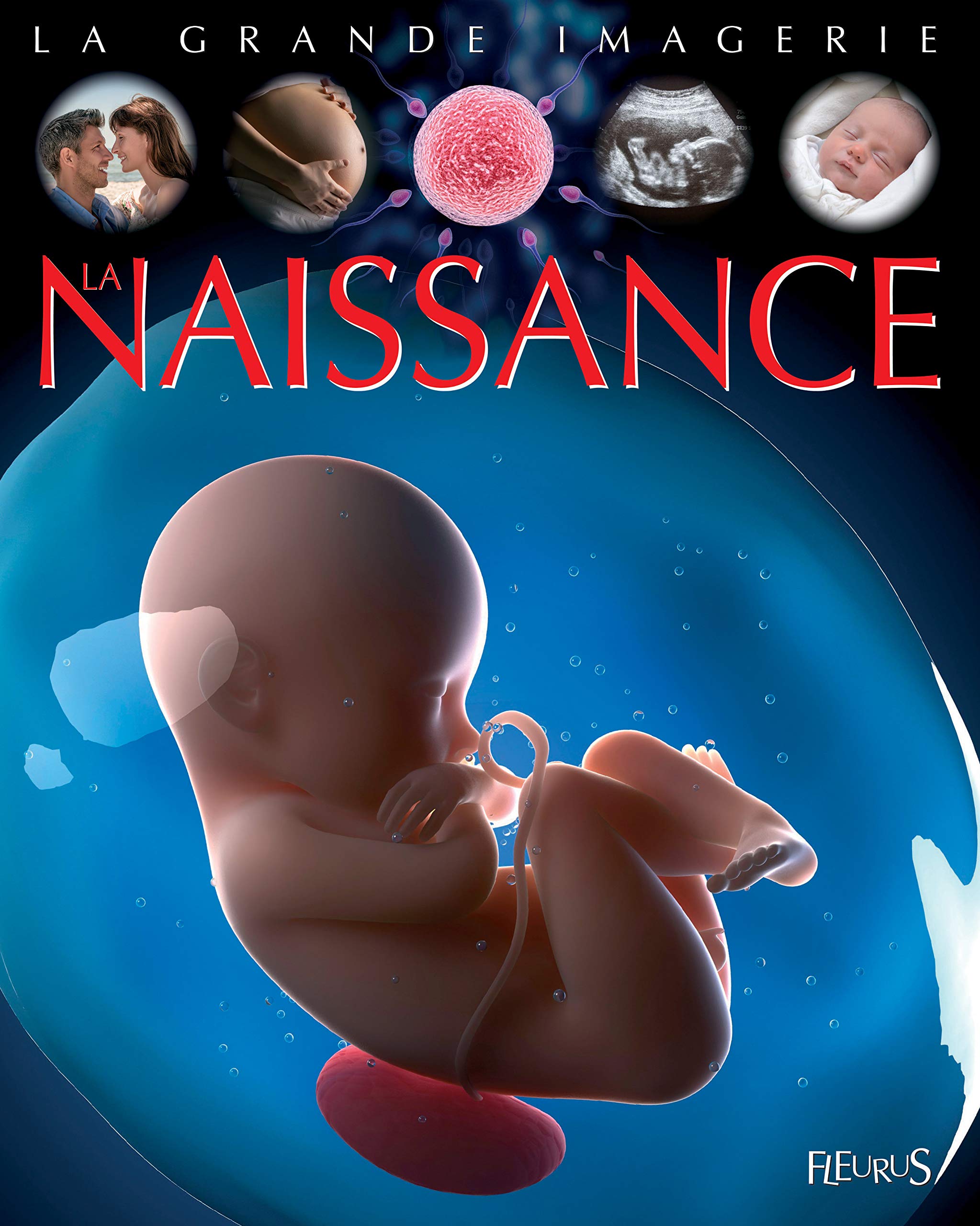 La naissance 9782215142744