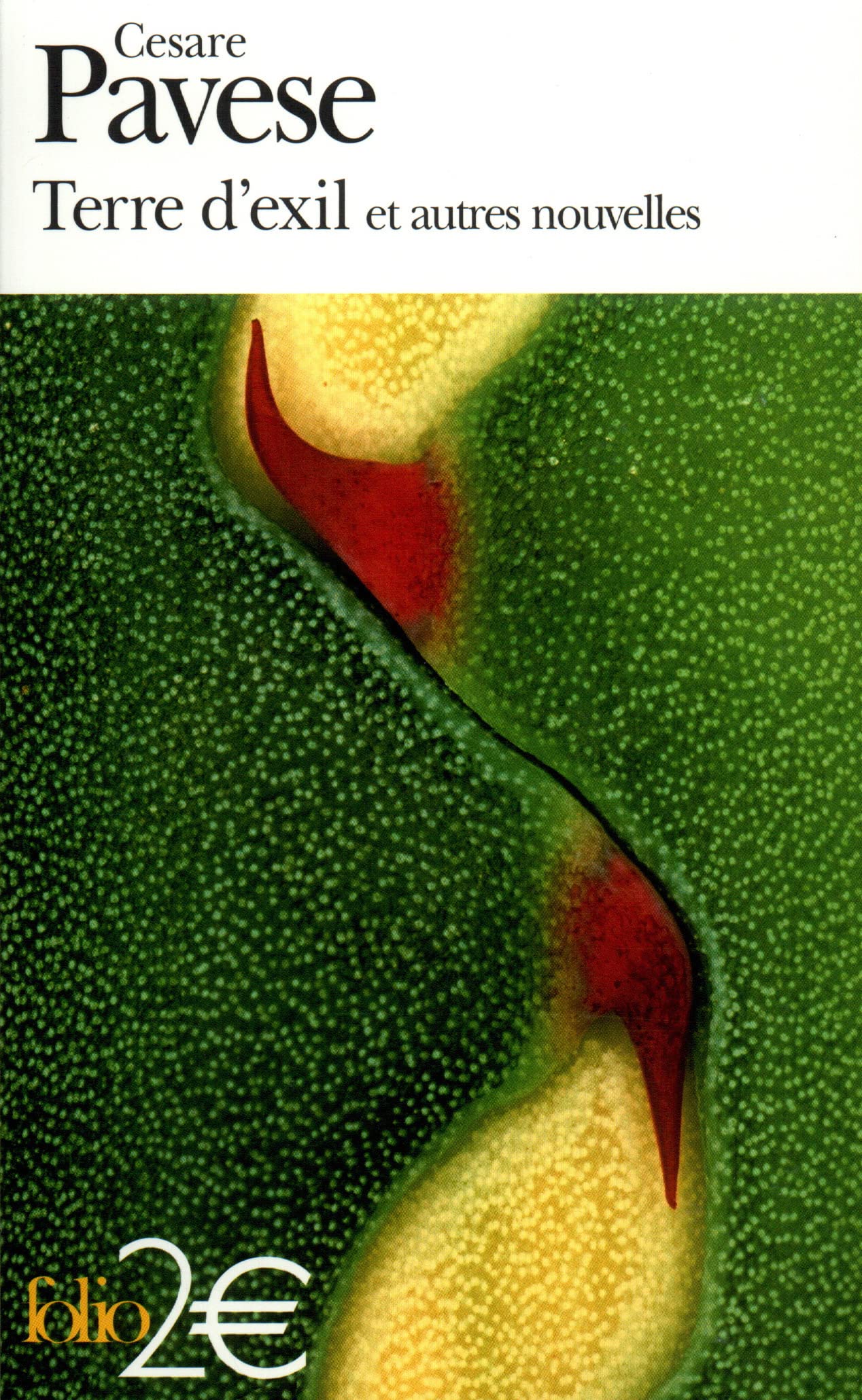 Terre d'exil et autres nouvelles 9782070428670