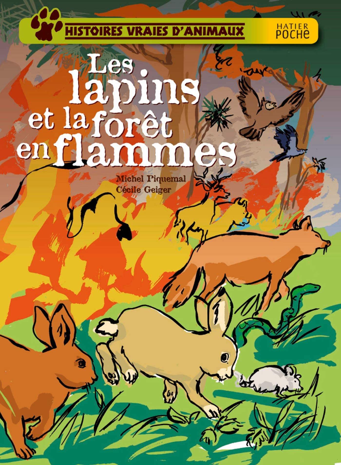 Les lapins et la forêt en flammes 9782218929144