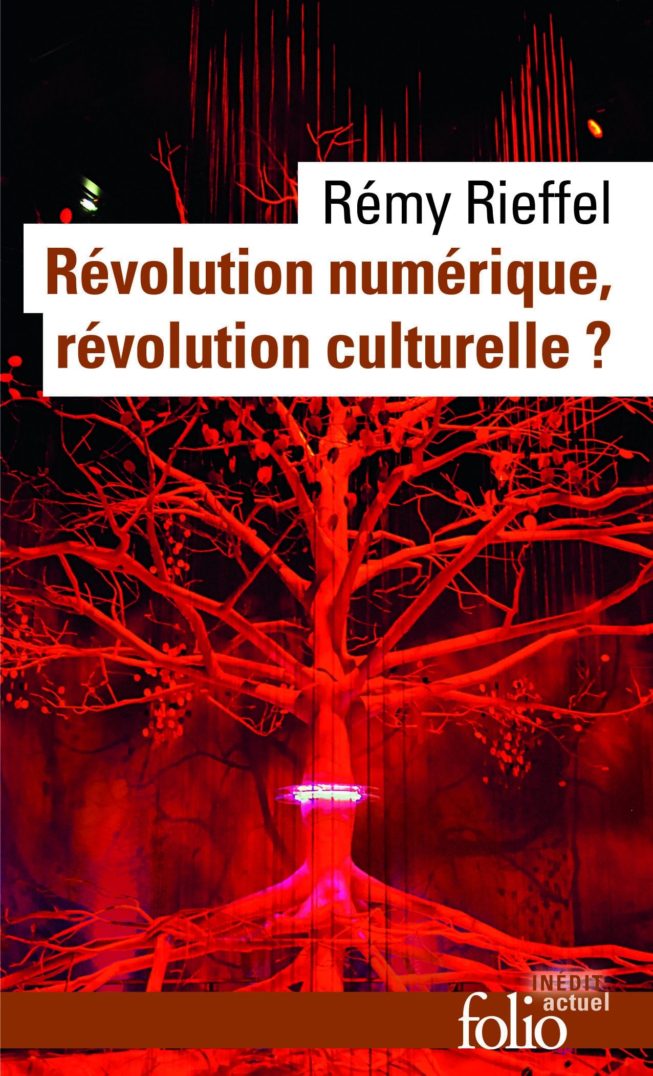 Révolution numérique, révolution culturelle ? 9782070451722