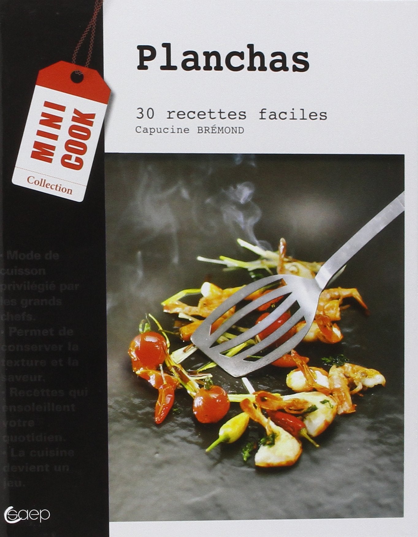 Planchas - 30 recettes faciles 9782737201639