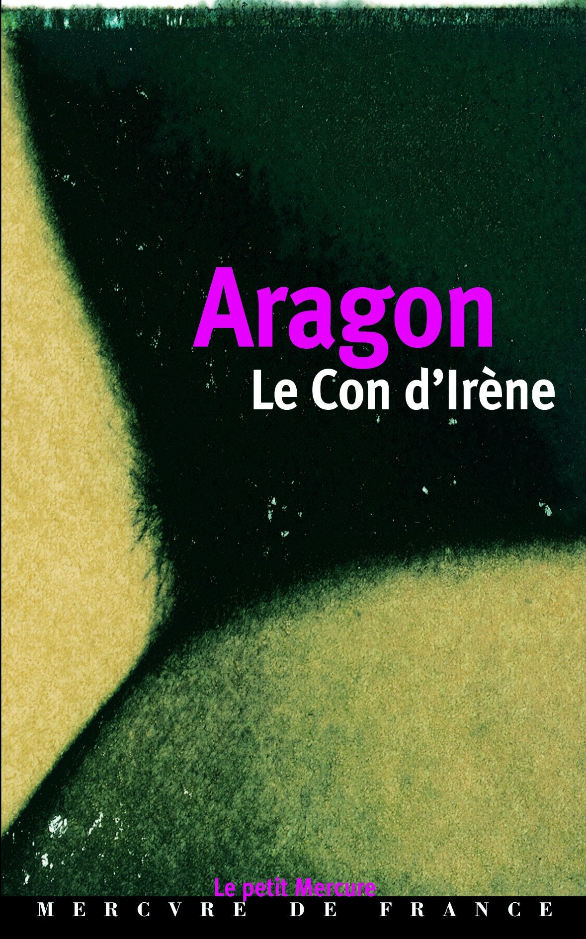 Le con d'Irène 9782715221390