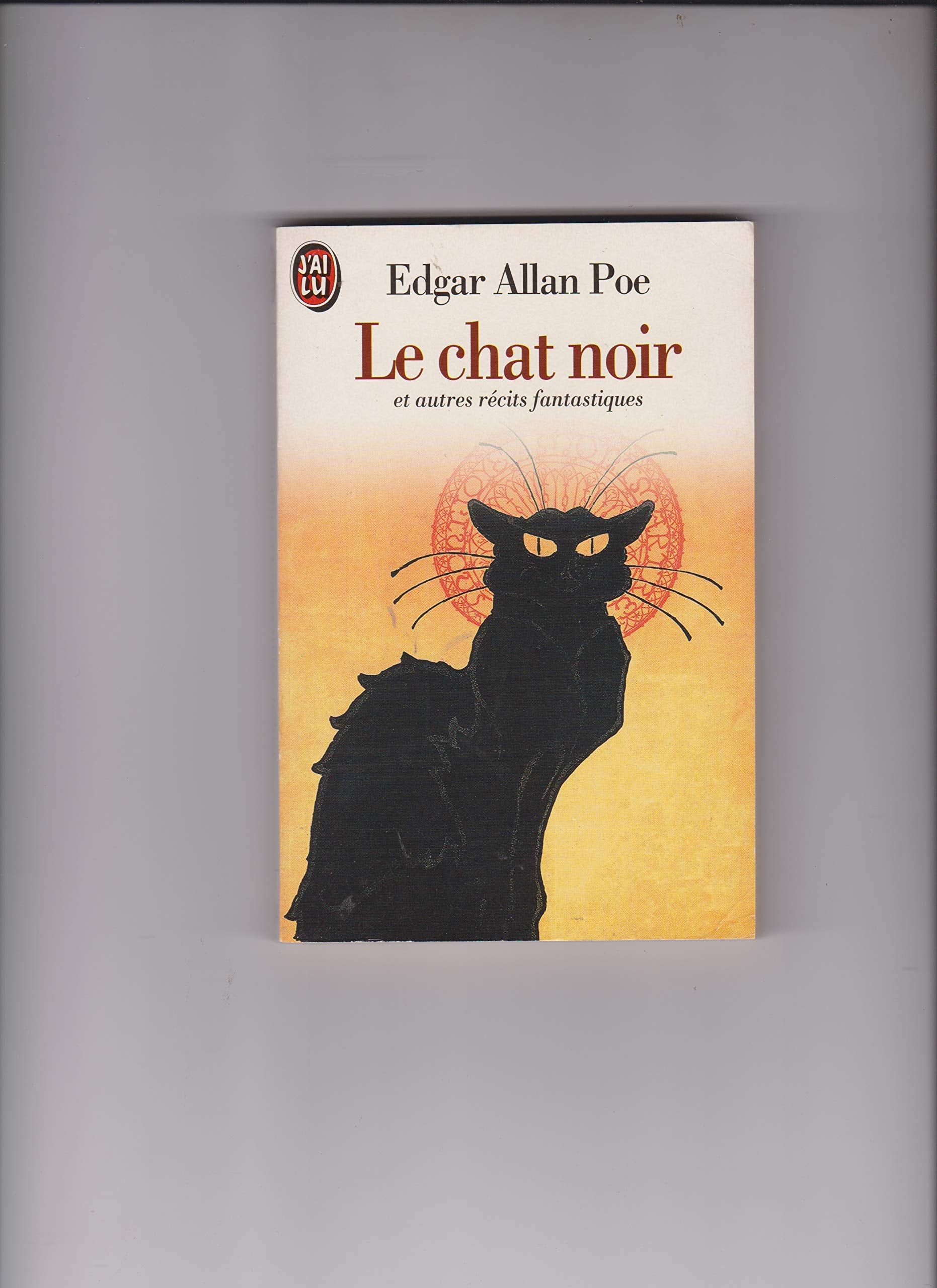 Le Chat noir et autres récits fantastiques 9782290020043