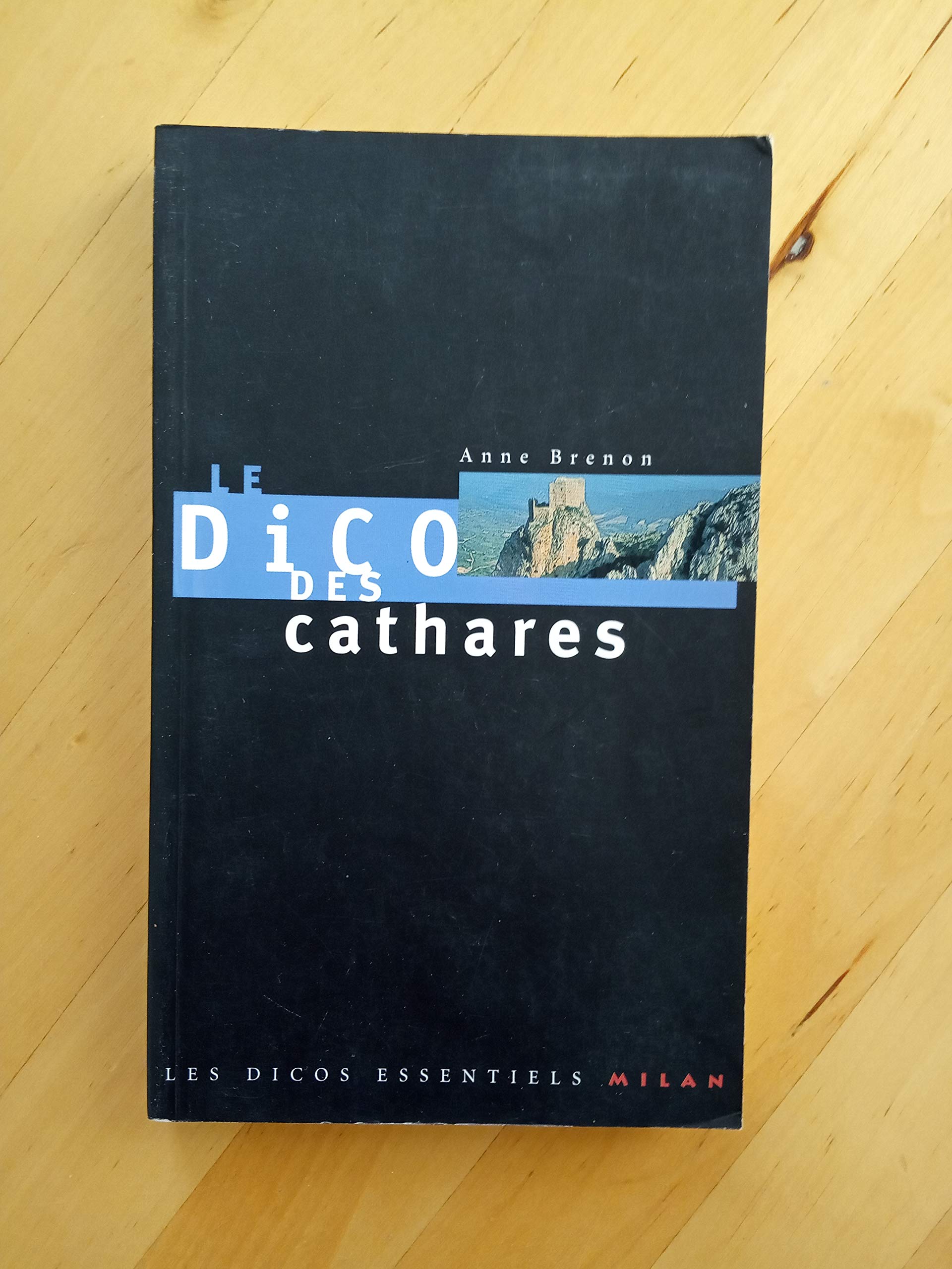 Le dico des Cathares 9782841138173