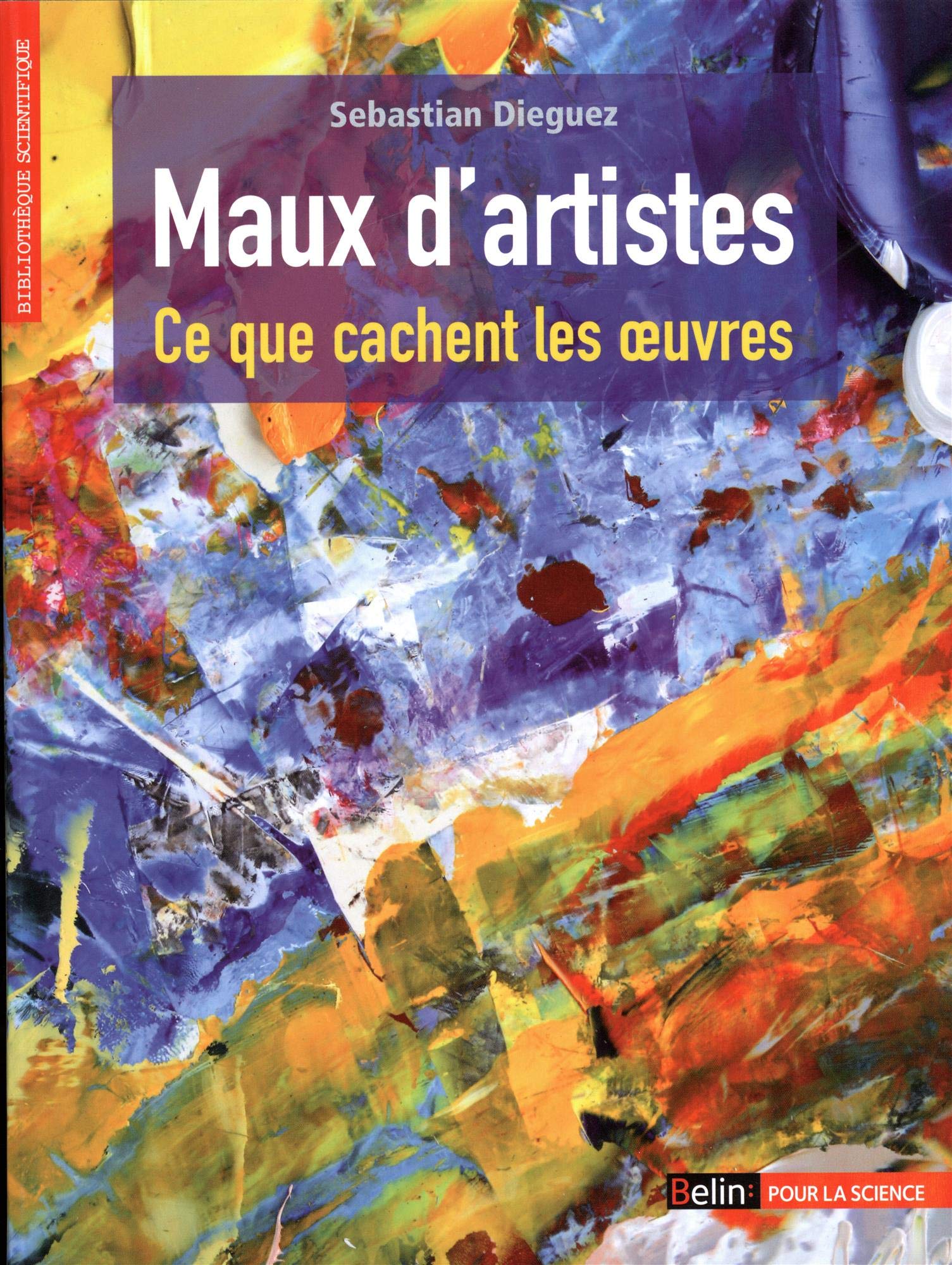 Maux d'artistes 9782842451011