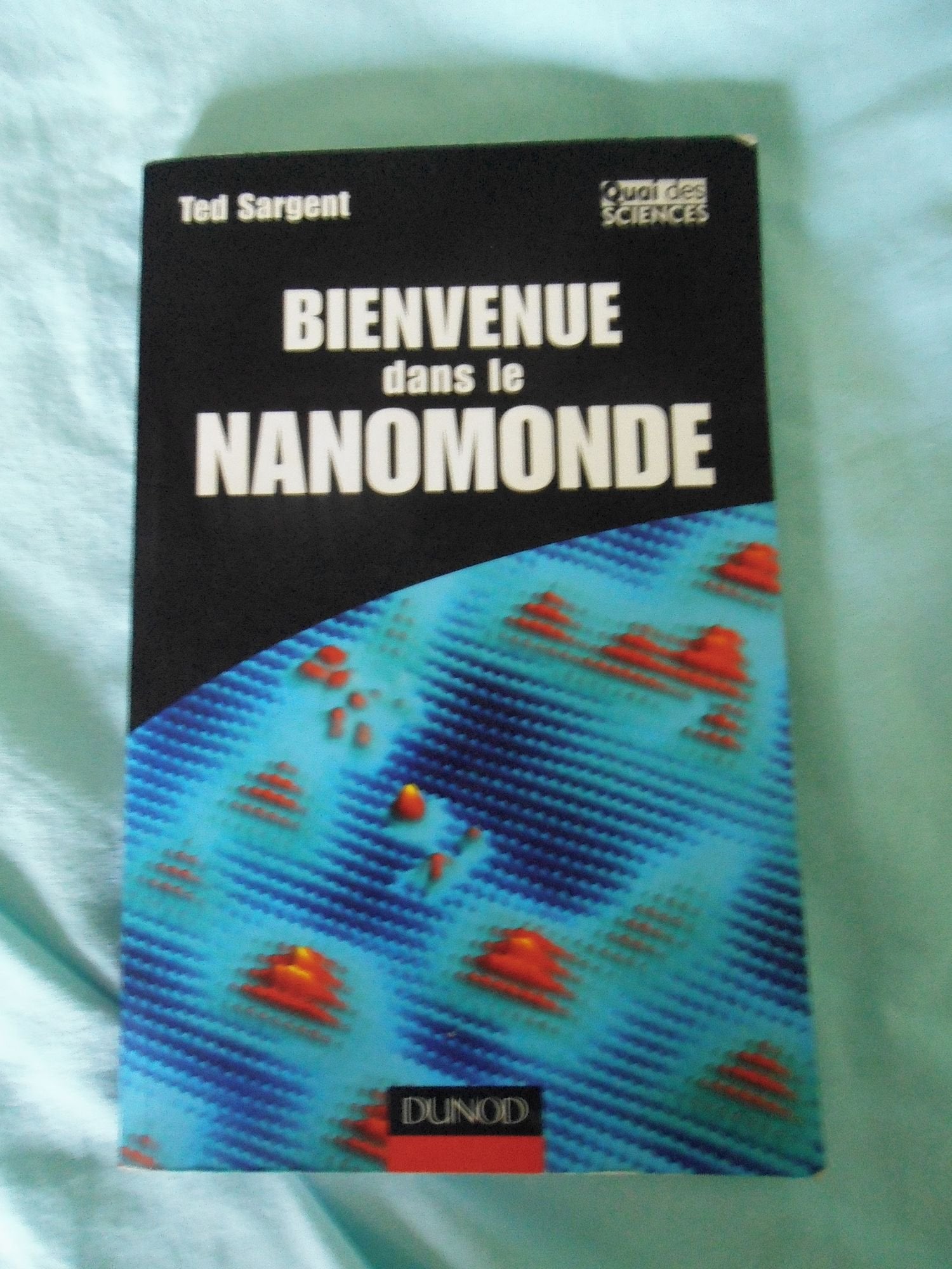 Bienvenue dans le nanomonde - Comment les nanotechnologies vont transformer notre vie: Comment les nanotechnologies vont transformer notre vie 9782100501489