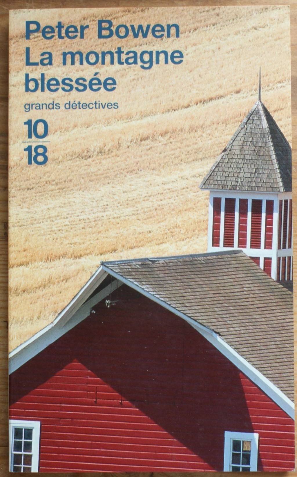 La Montagne blessée 9782264034311