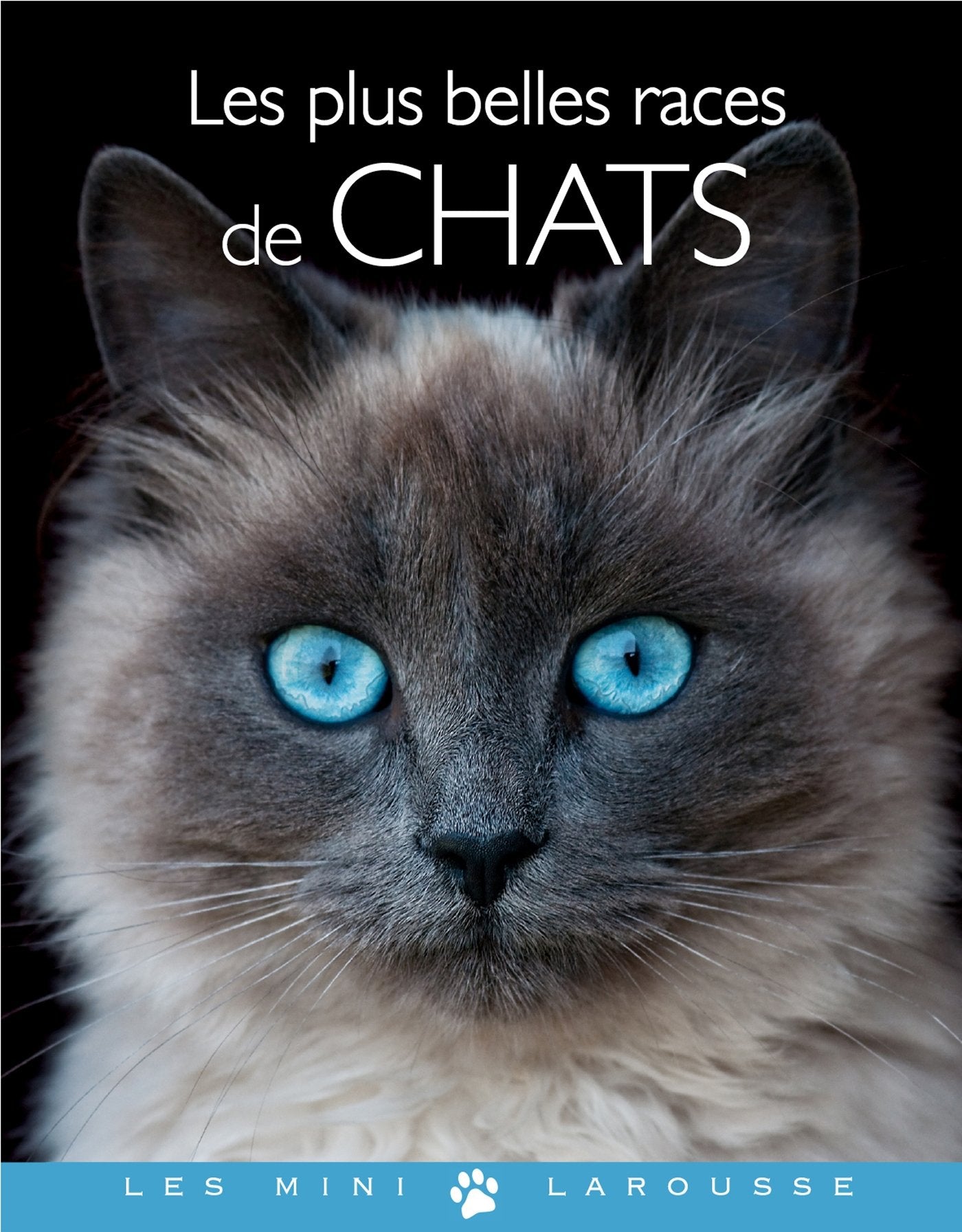 Les plus belles races de chats 9782035878809