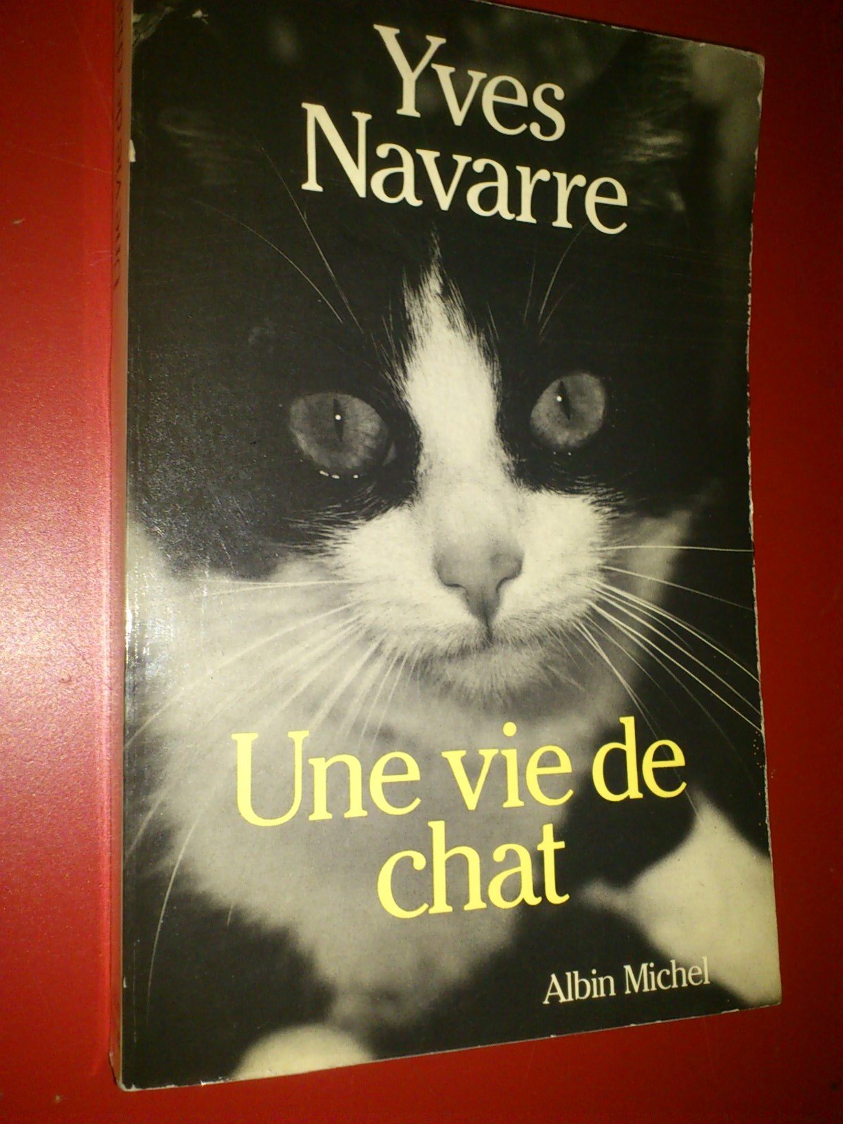 Une vie de chat 9782226026583