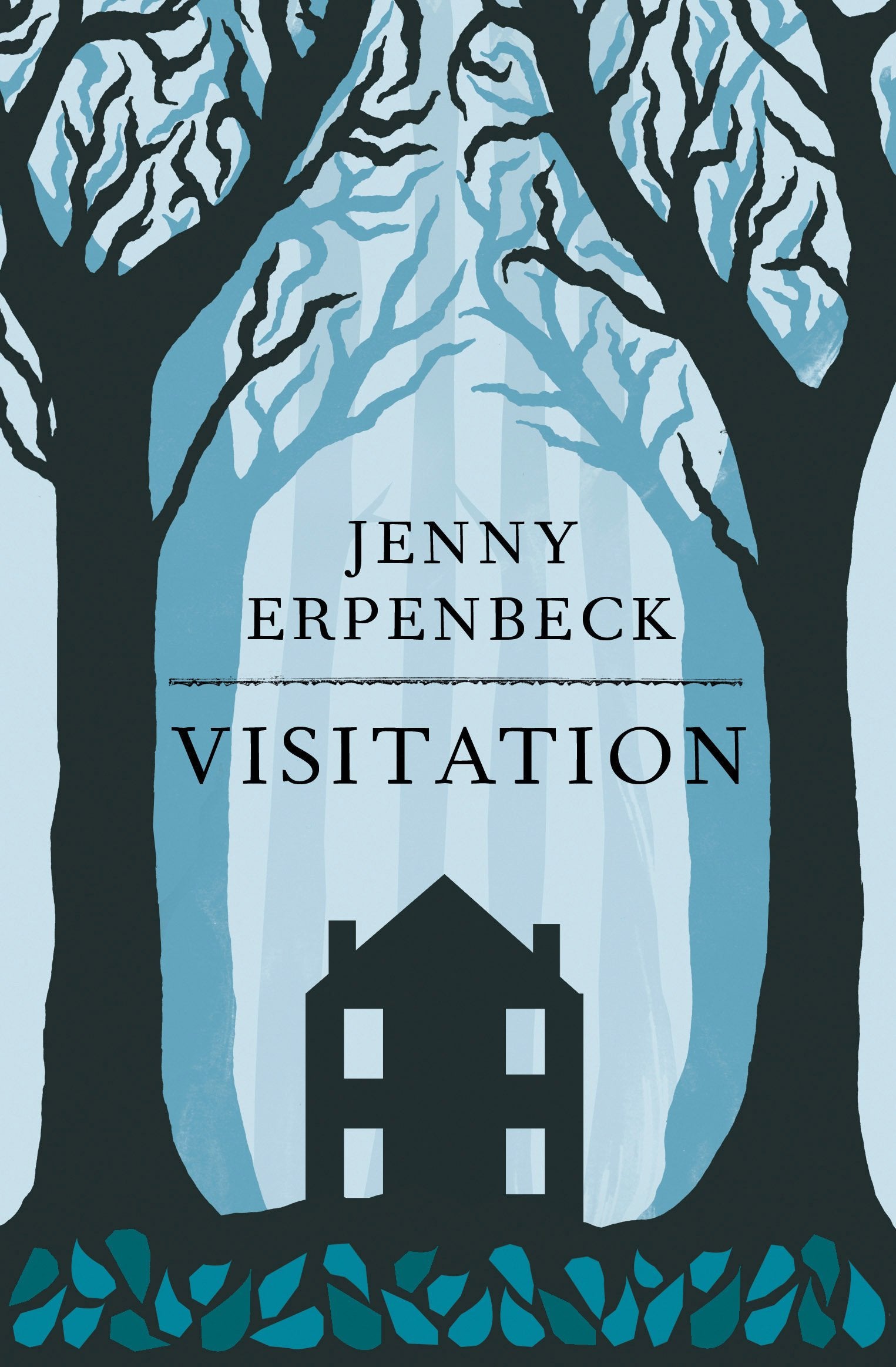 Visitation 9781846271908
