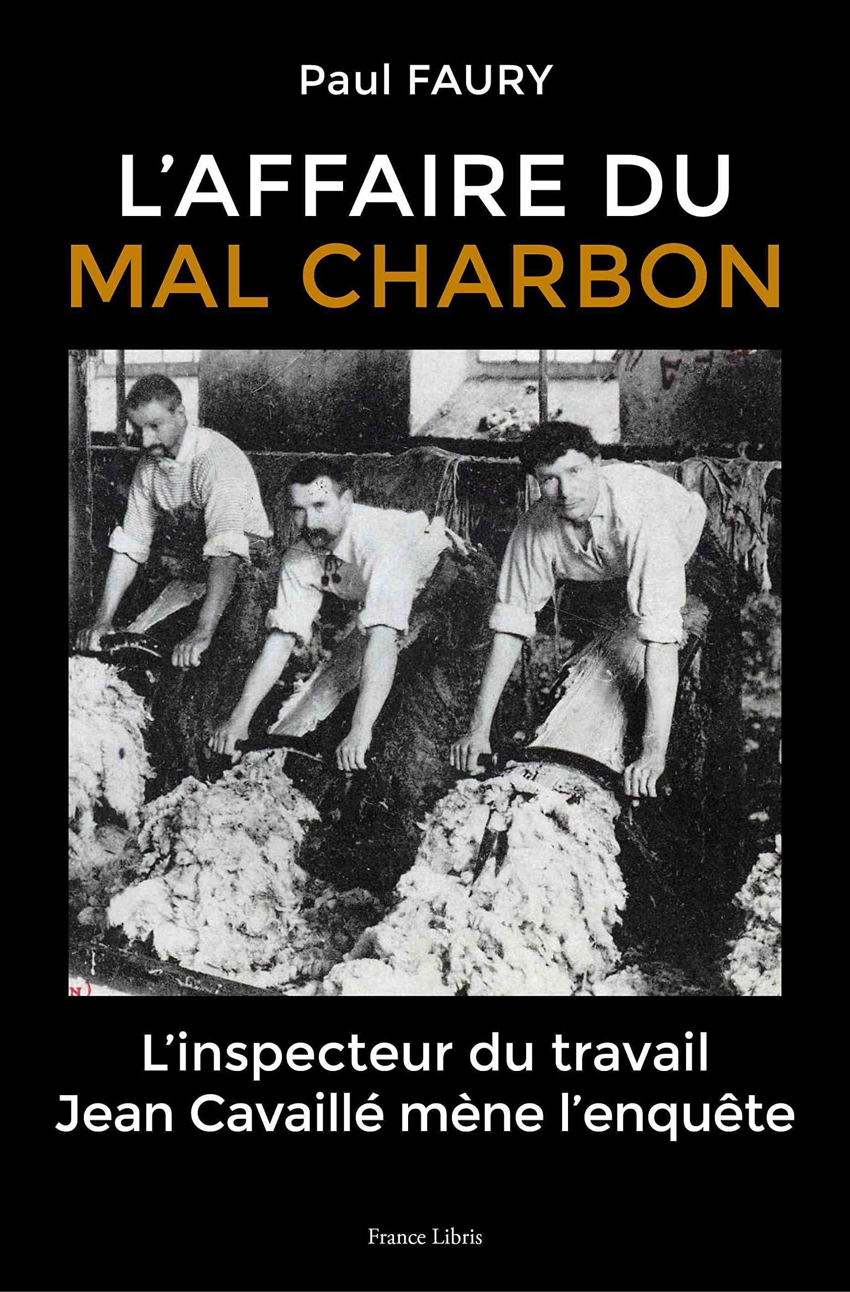 L'affaire du Mal Charbon: L'inspecteur du travail Jean Cavaillé mène l'enquête 9782382681602