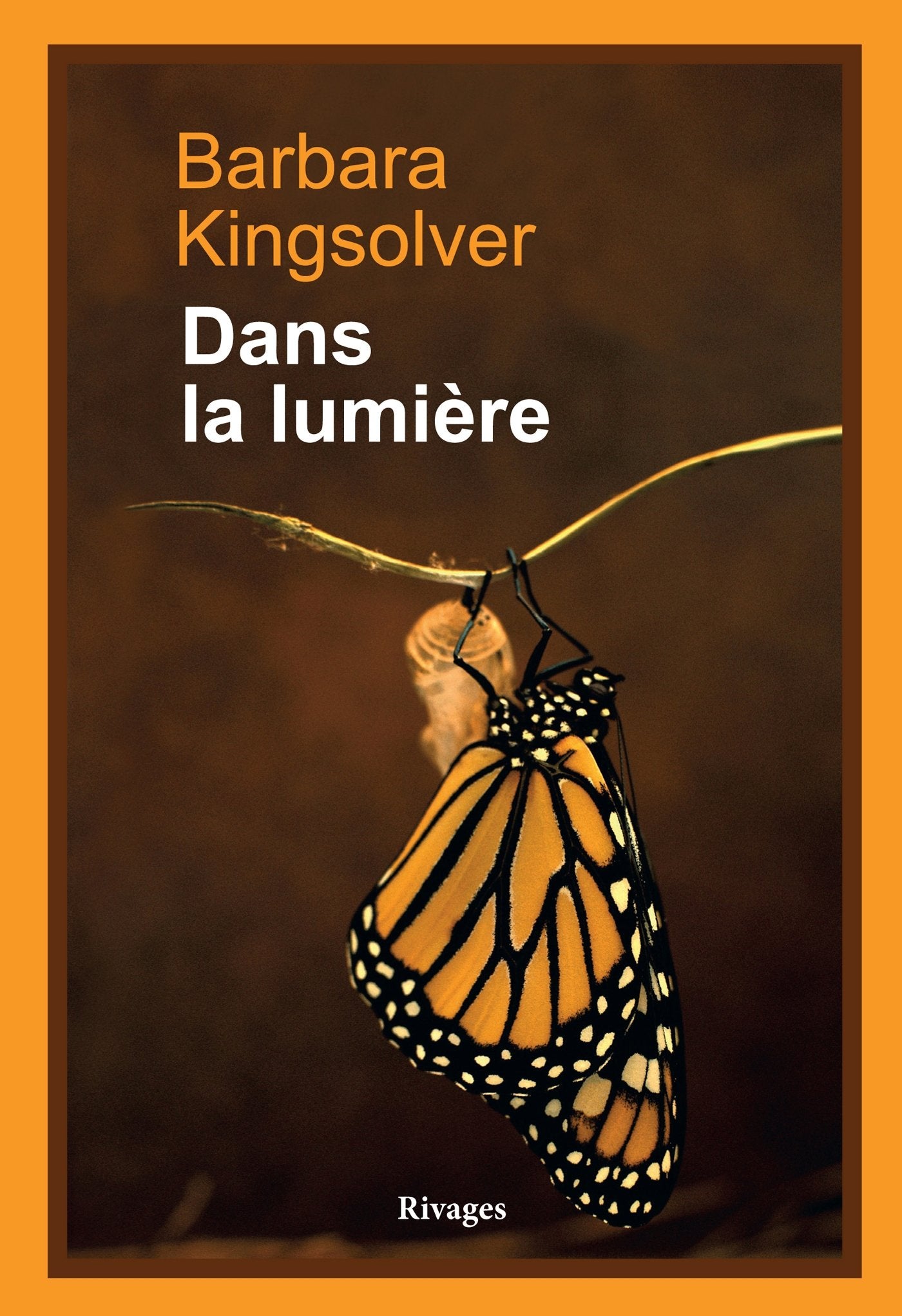Dans la lumière 9782743625856