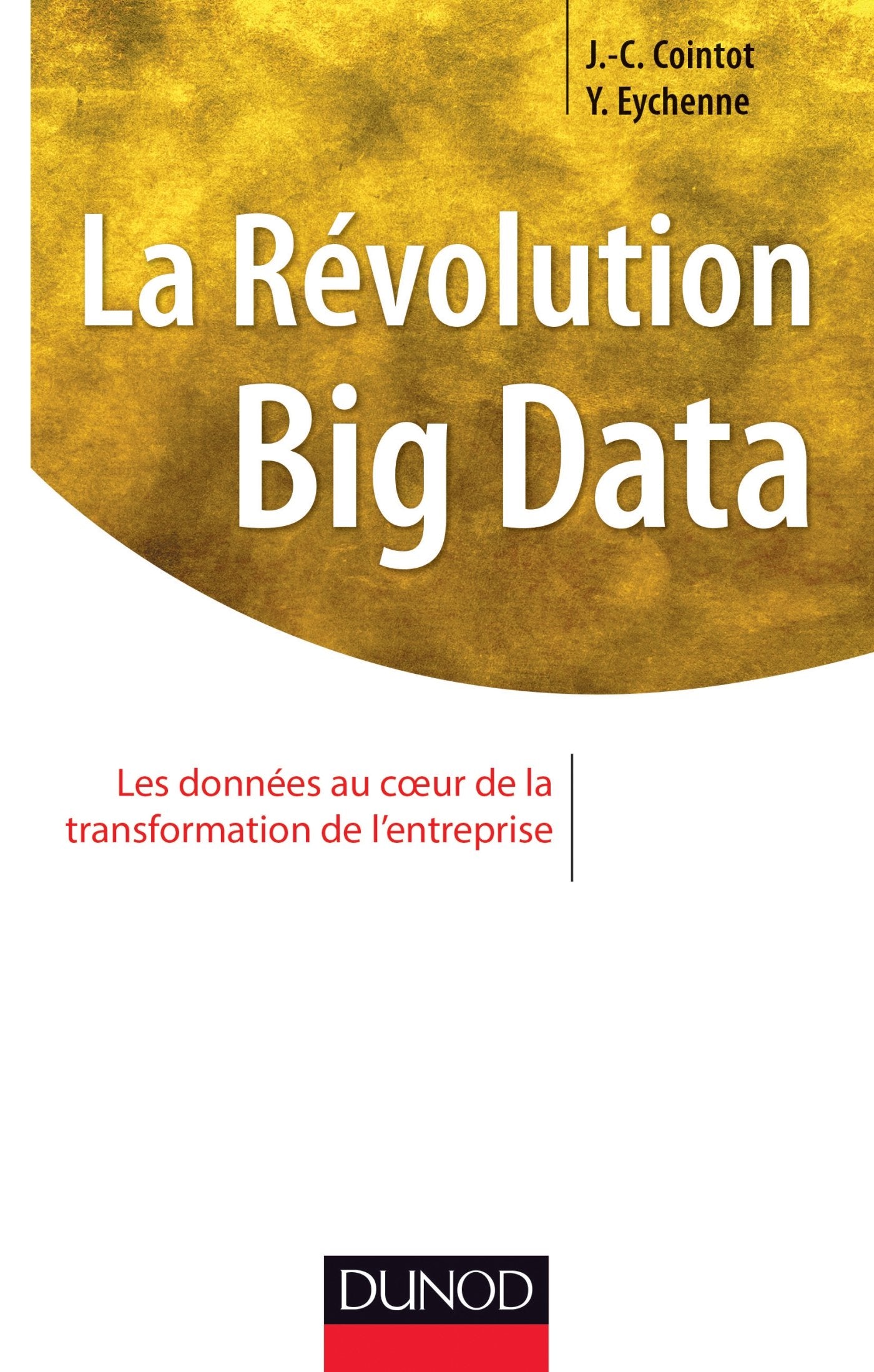 La Révolution Big data - Les données au coeur de la transformation de l'entreprise: Les données au coeur de la transformation de l'entreprise 9782100711420