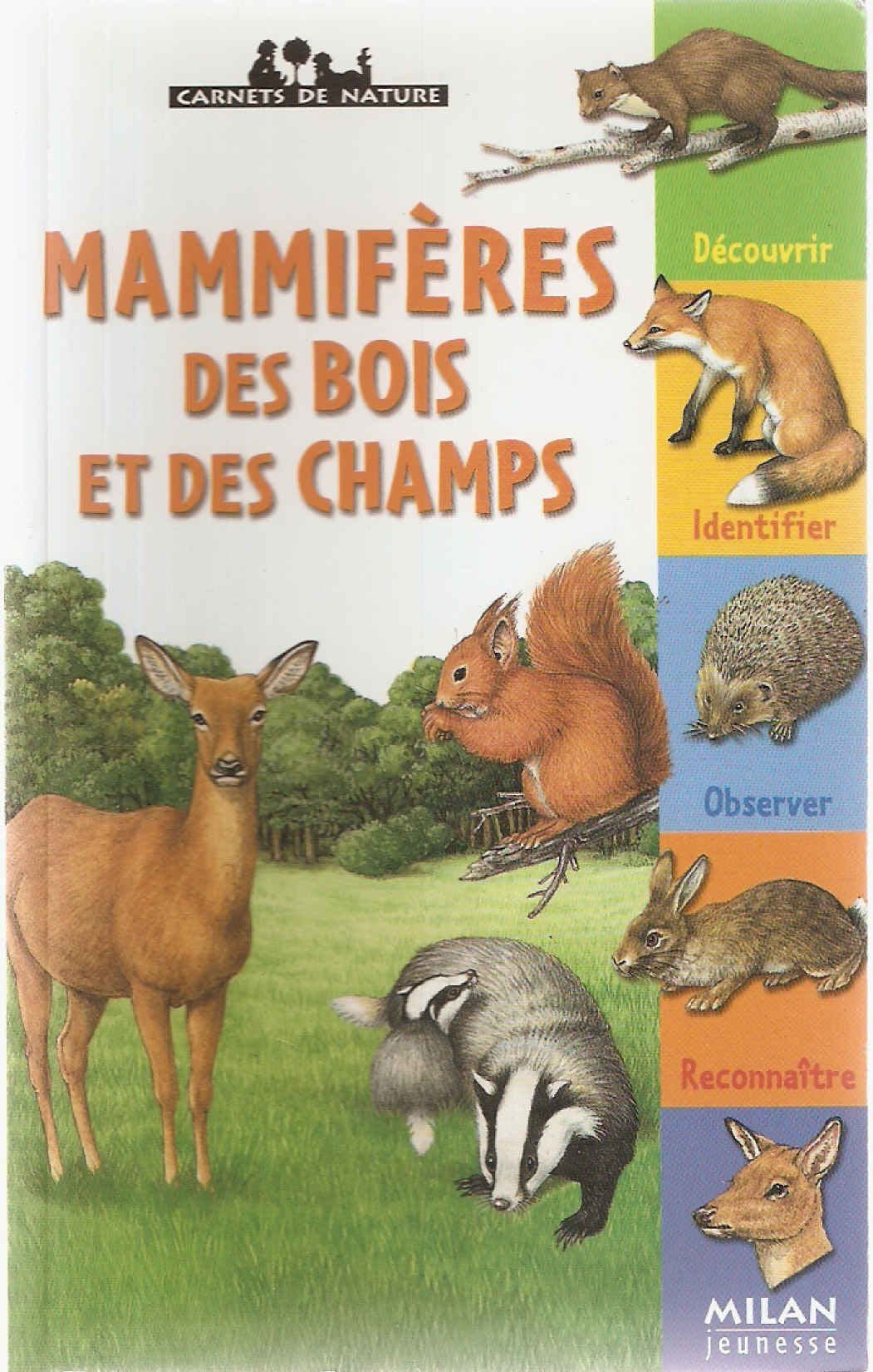 MAMMIFERES DES BOIS ET DES CHAMPS NE 9782745916082