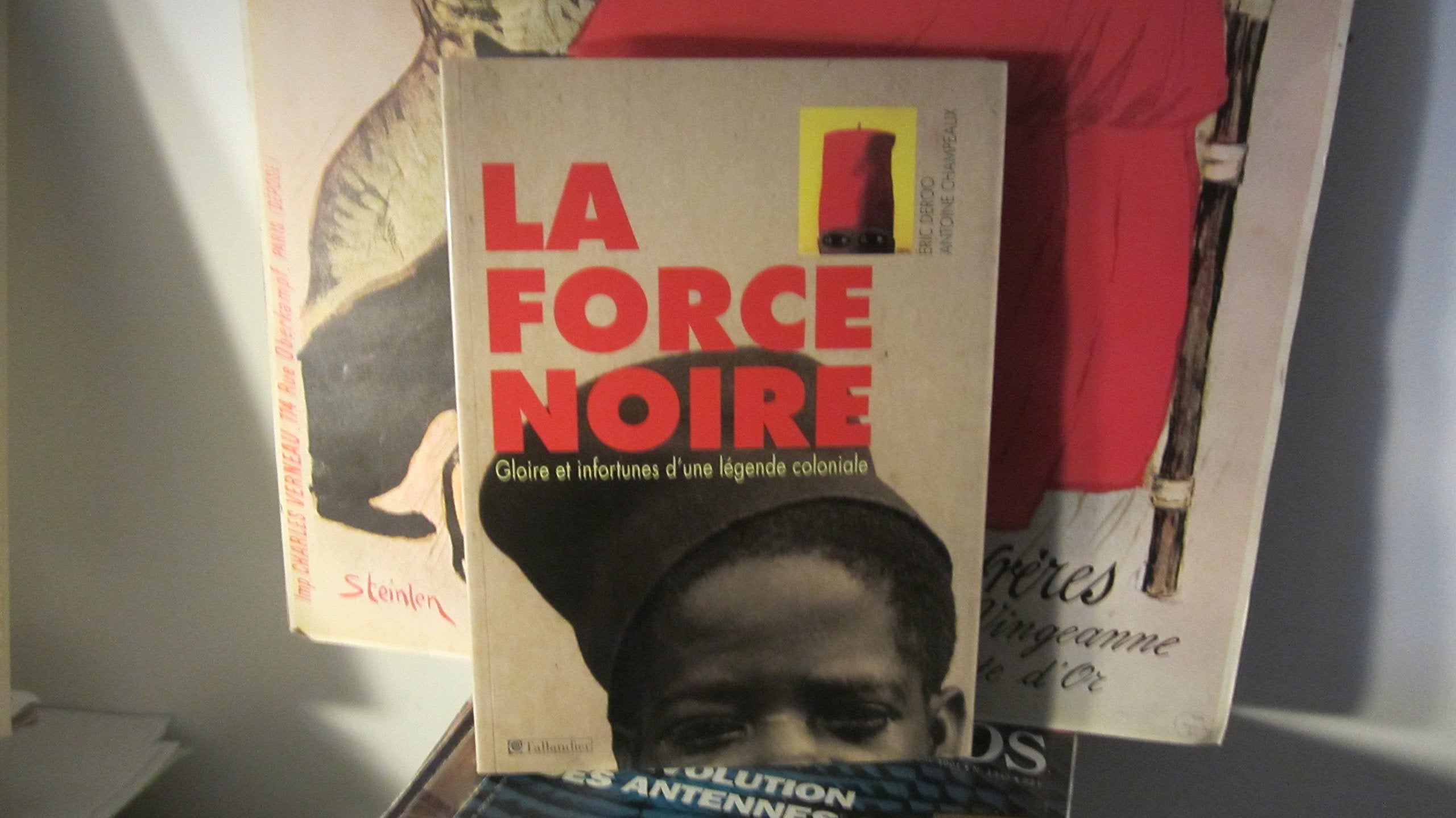 La force noire: Gloire et infortunes d'une légende coloniale 9782847343397