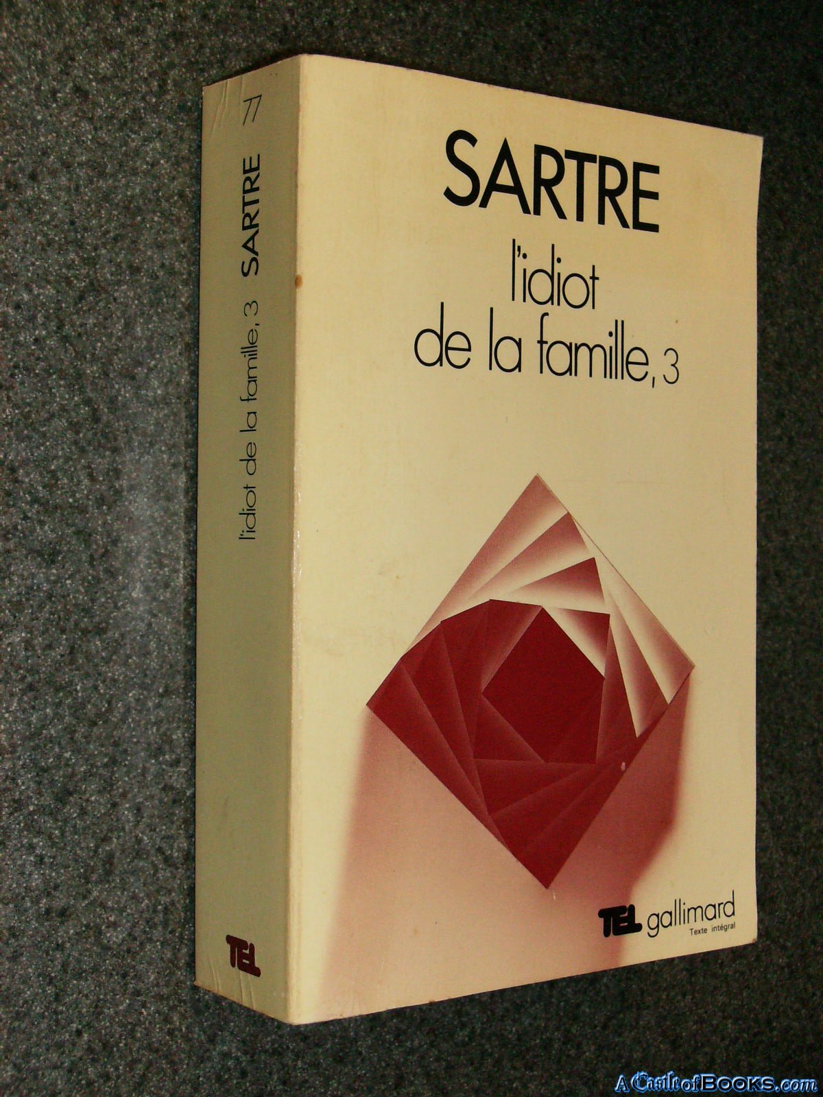 L'idiot de la famille 9782070251926