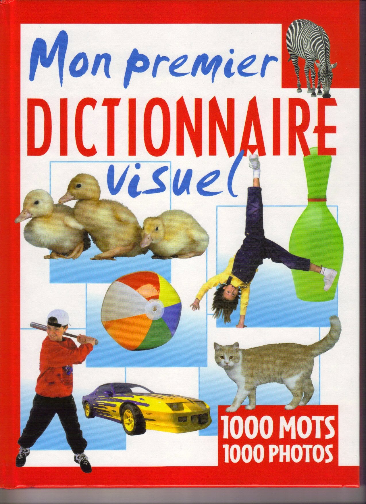 Mon premier dicitonnaire viseul 9789058287816