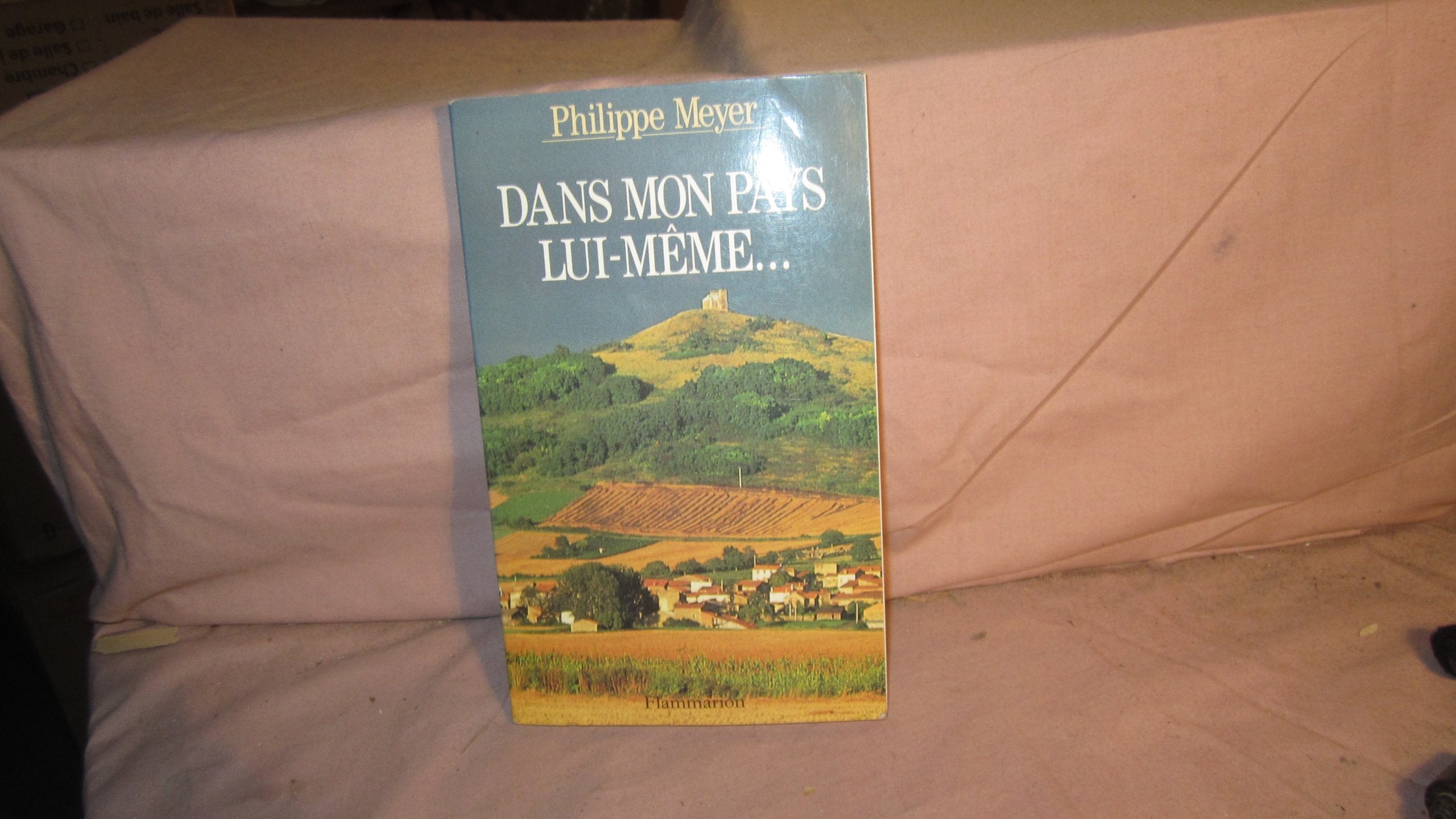 Dans mon pays lui-même... 9782080668257
