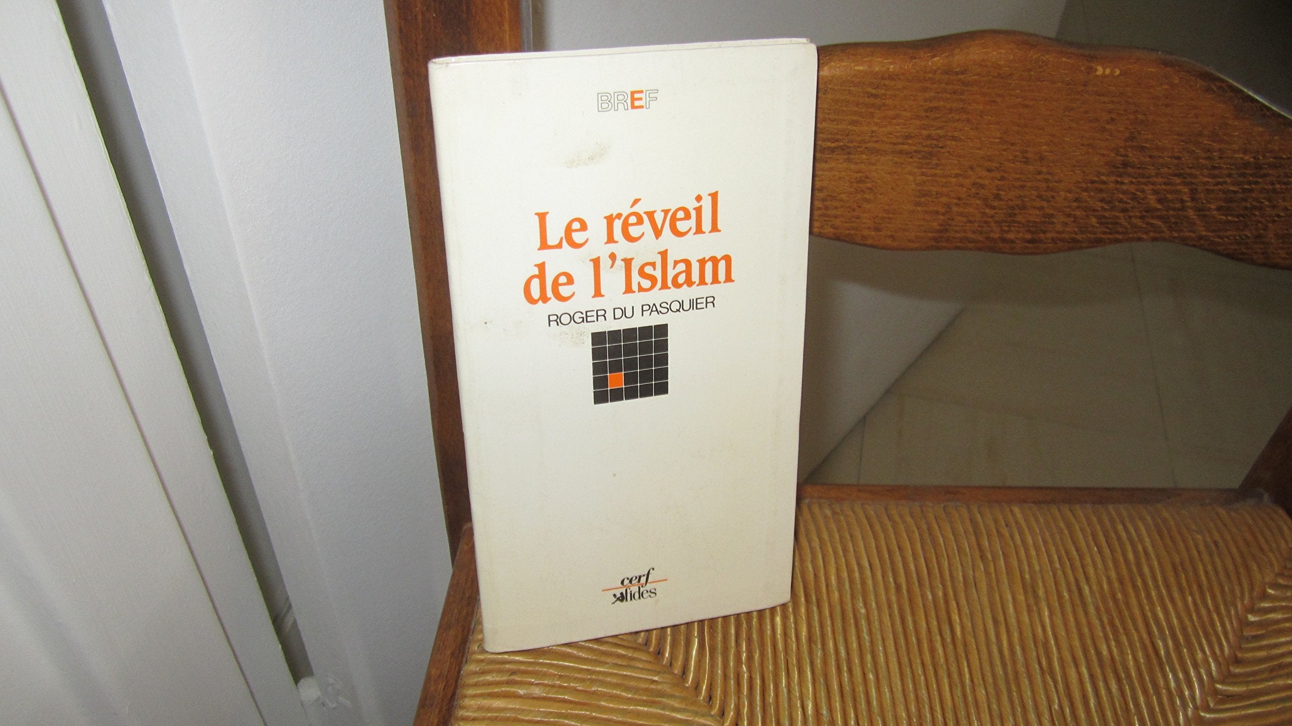 LE REVEIL DE L'ISLAM 9782204028615