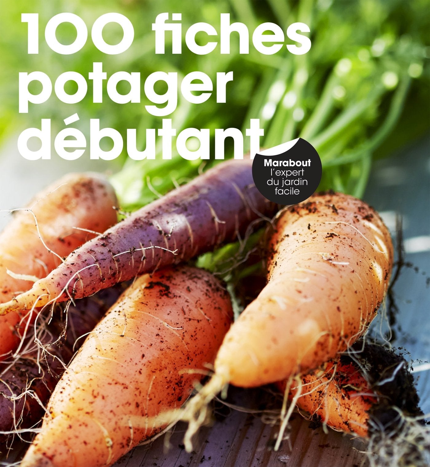 100 fiches potager débutant 9782501120432
