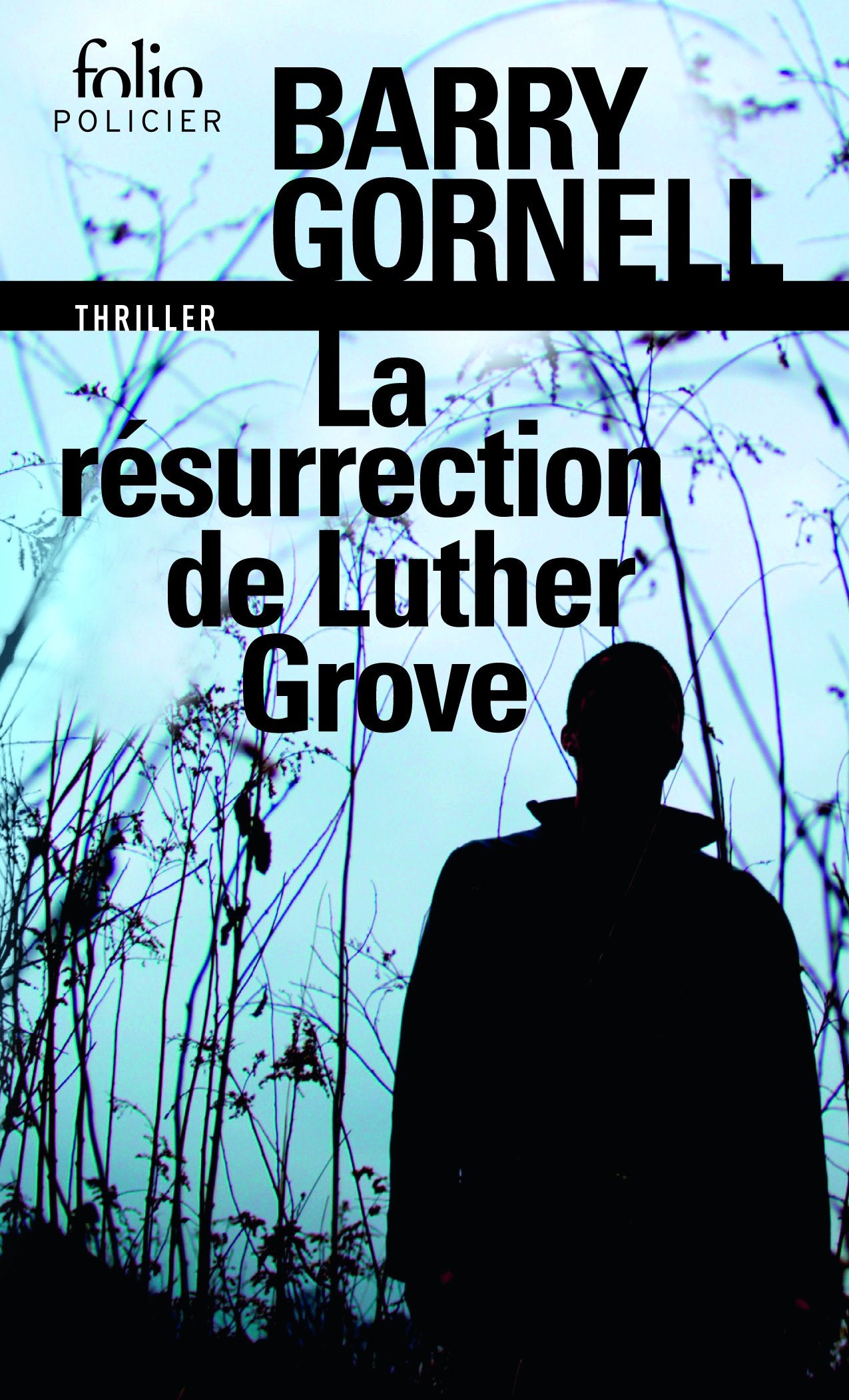 La résurrection de Luther Grove 9782070467822