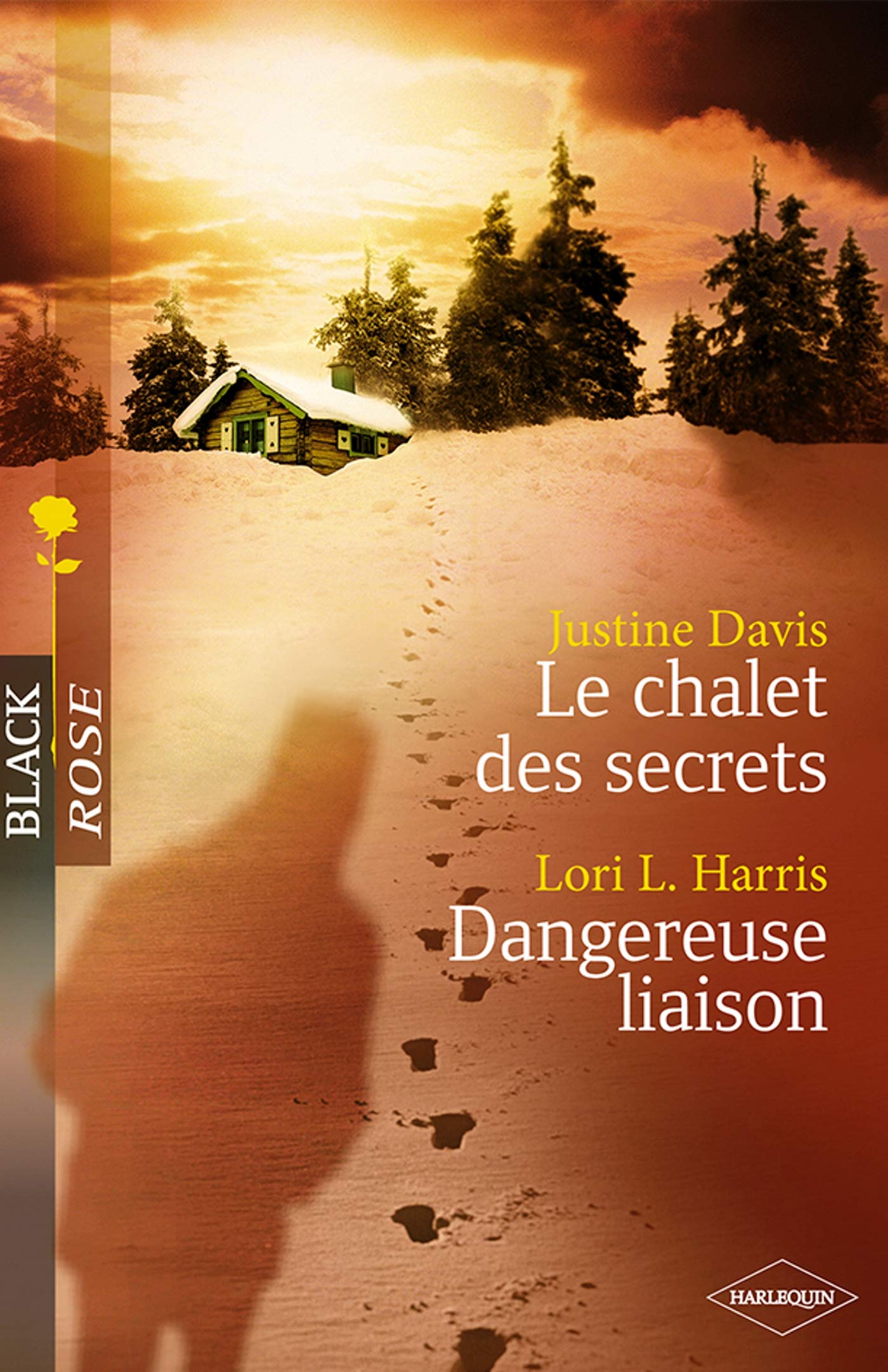 Le chalet des secrets ; Dangereuse liaison 9782280848275