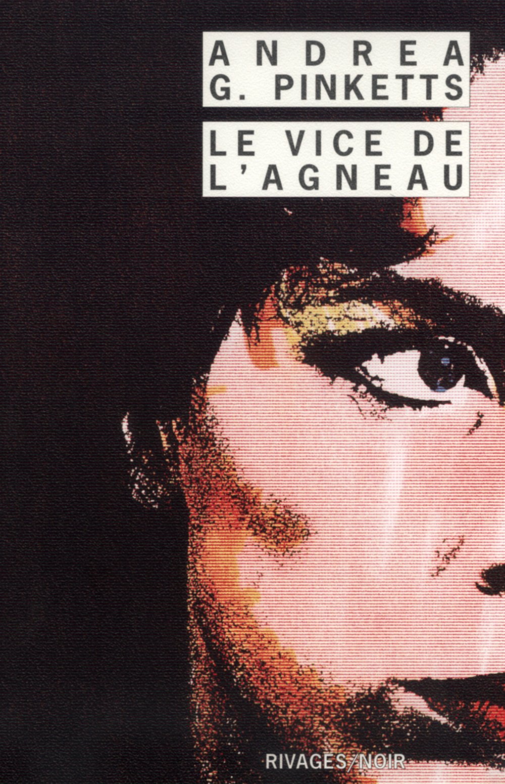 Le Vice de l'agneau 9782743608514