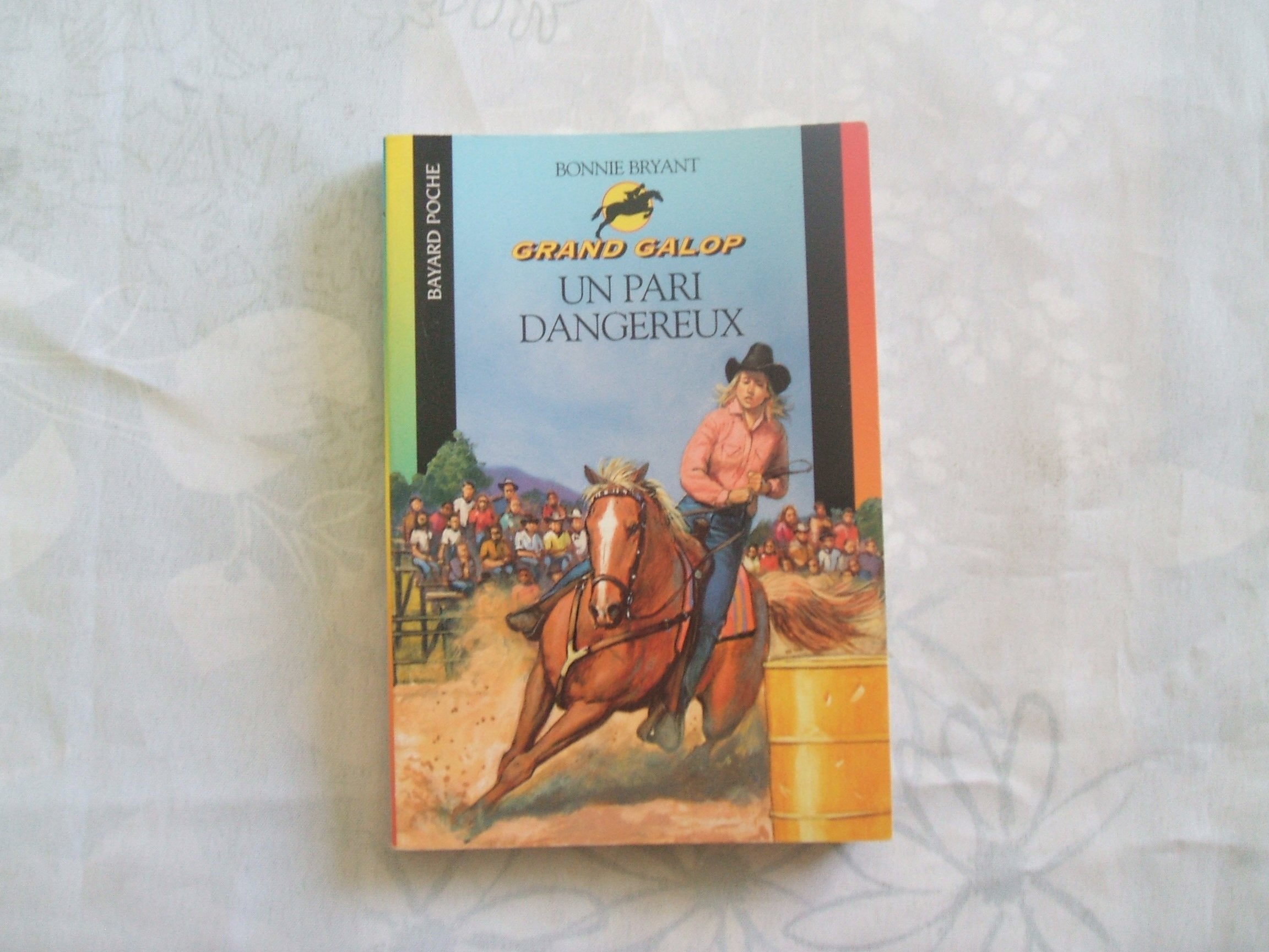 Un Pari dangereux, N° 664 9782747011525