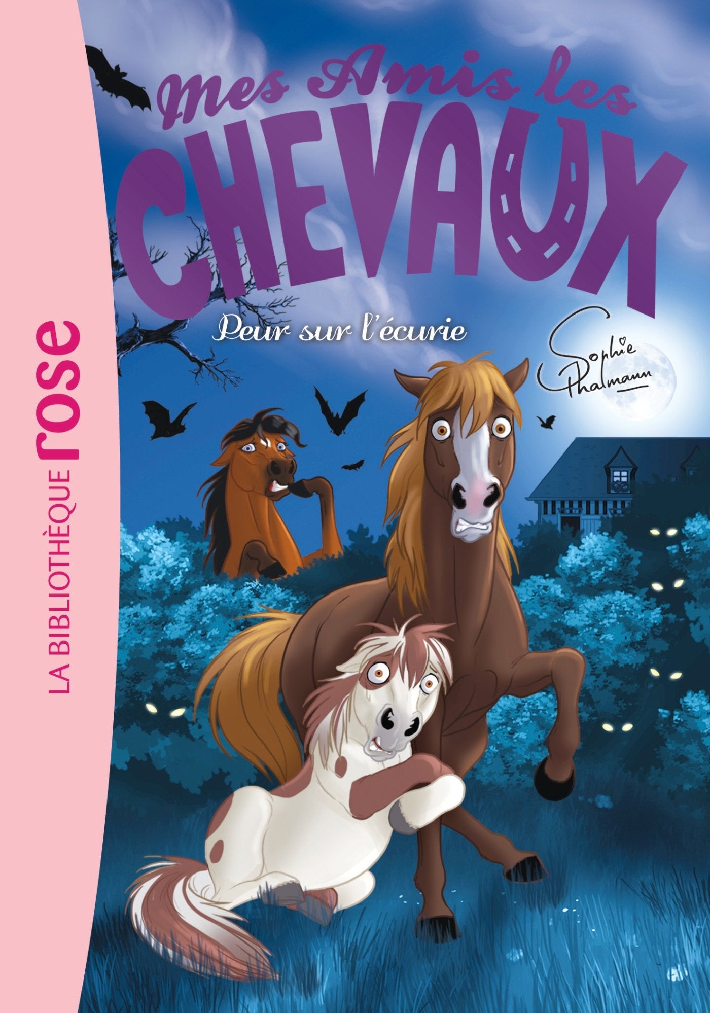 Mes amis les chevaux 11 - Peur sur l'écurie 9782012317345