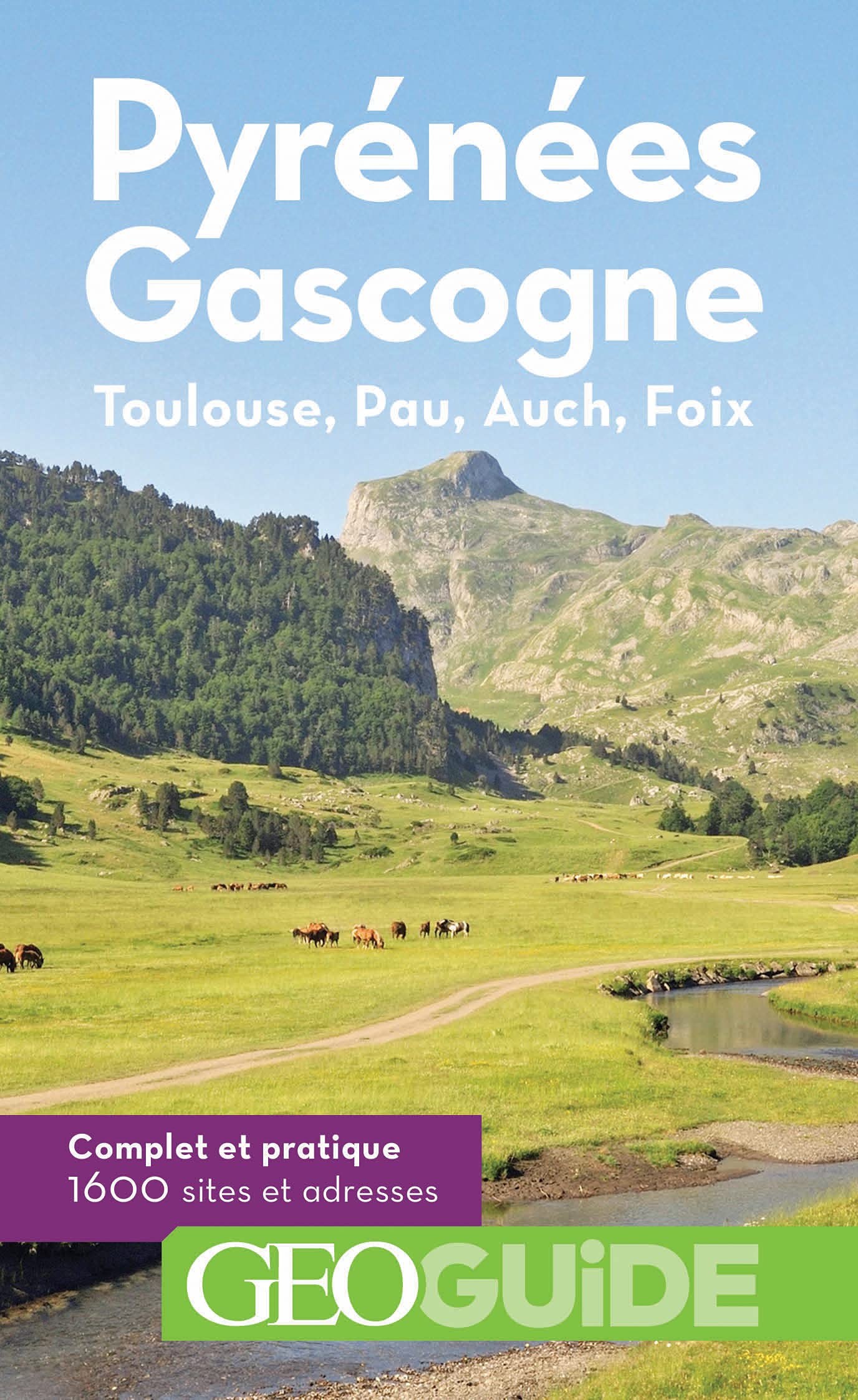 Pyrénées Gascogne: Toulouse, Pau, Auch, Foix 9782742449835