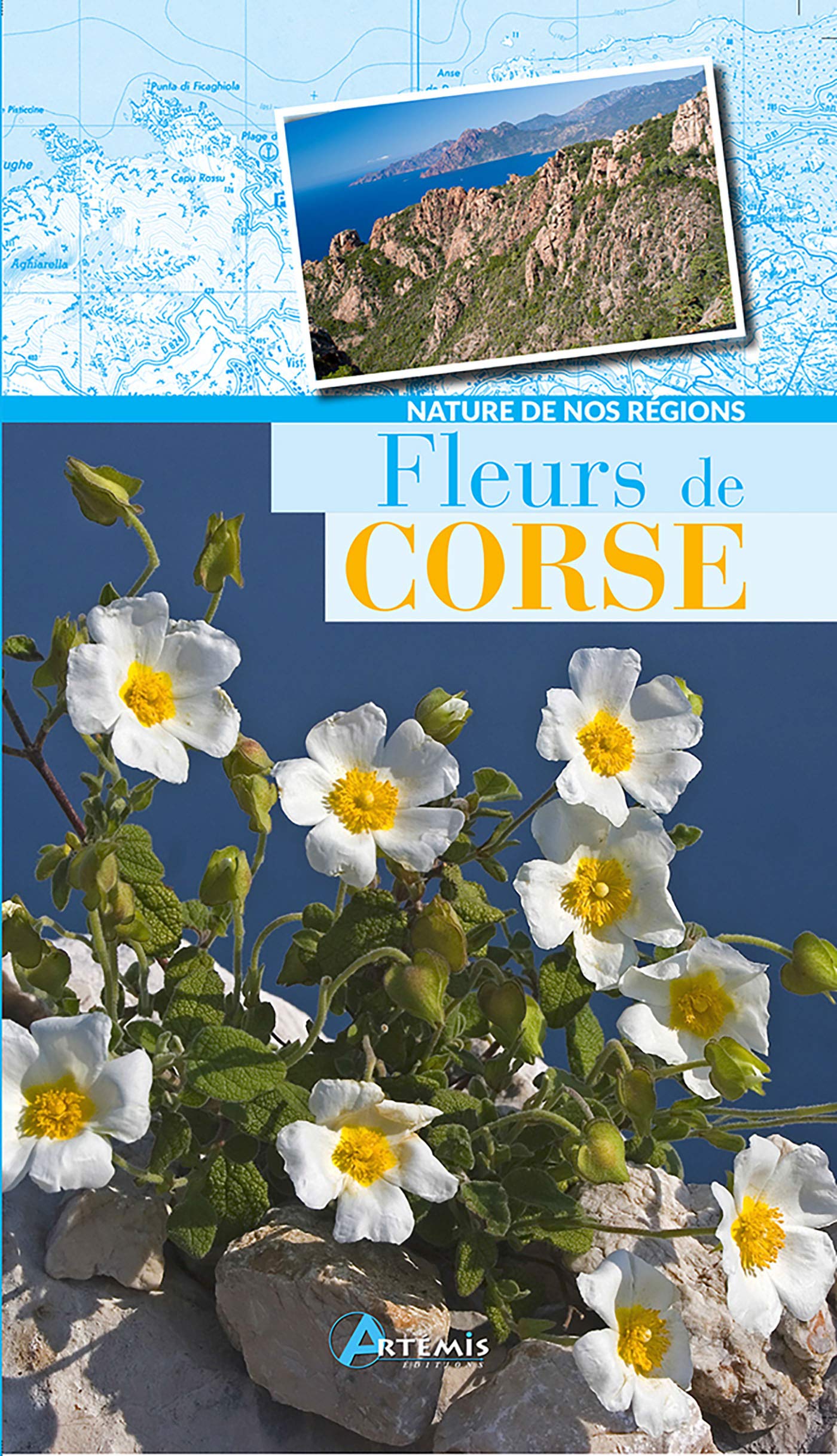 Fleurs de Corse 9782816007367