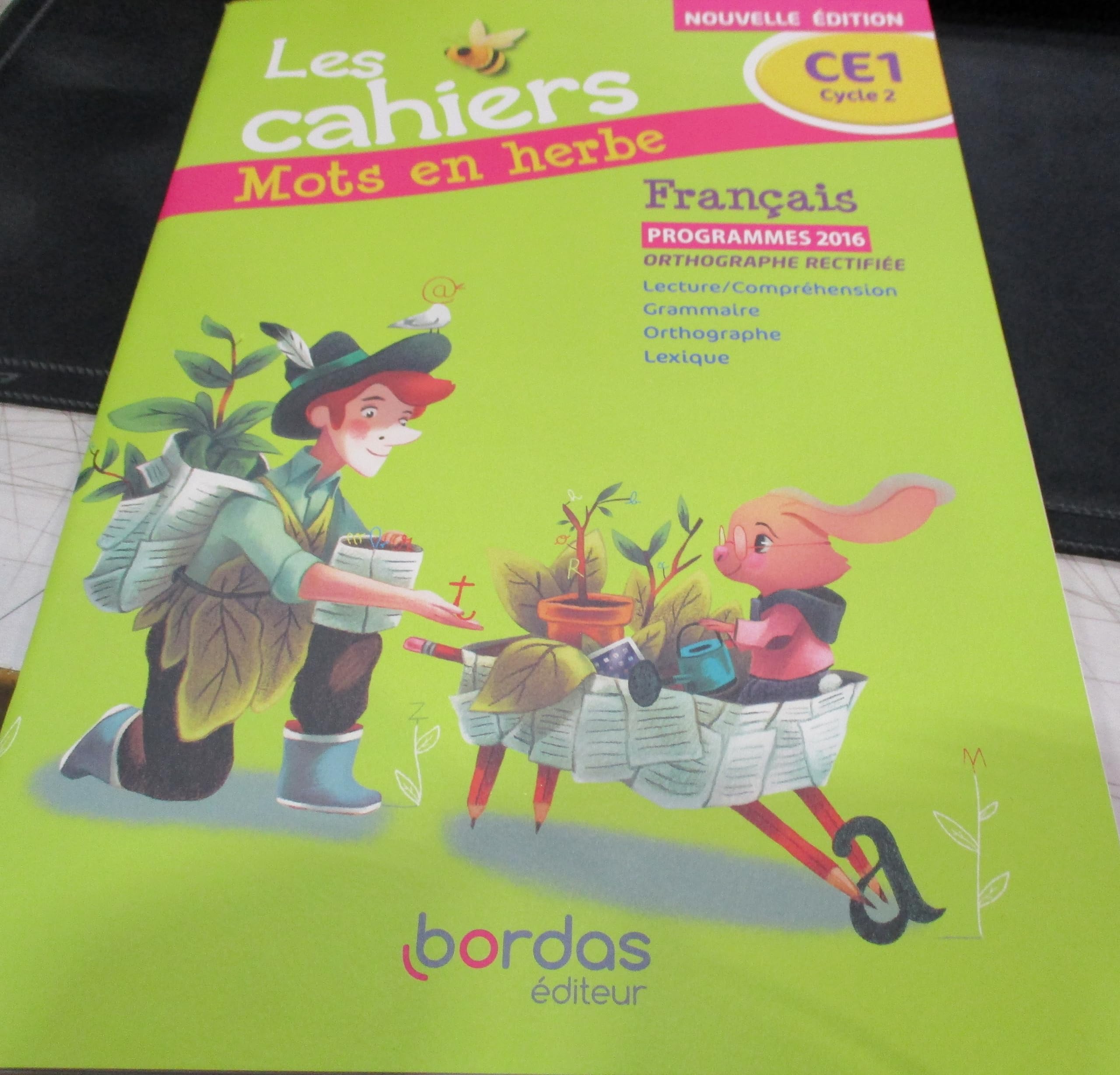 Mots en herbe CE1 9782047333358