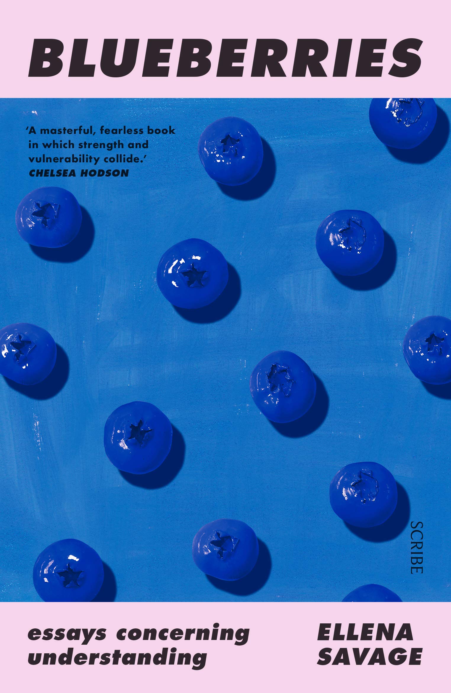Blueberries: essays concerning understanding 9781912854677