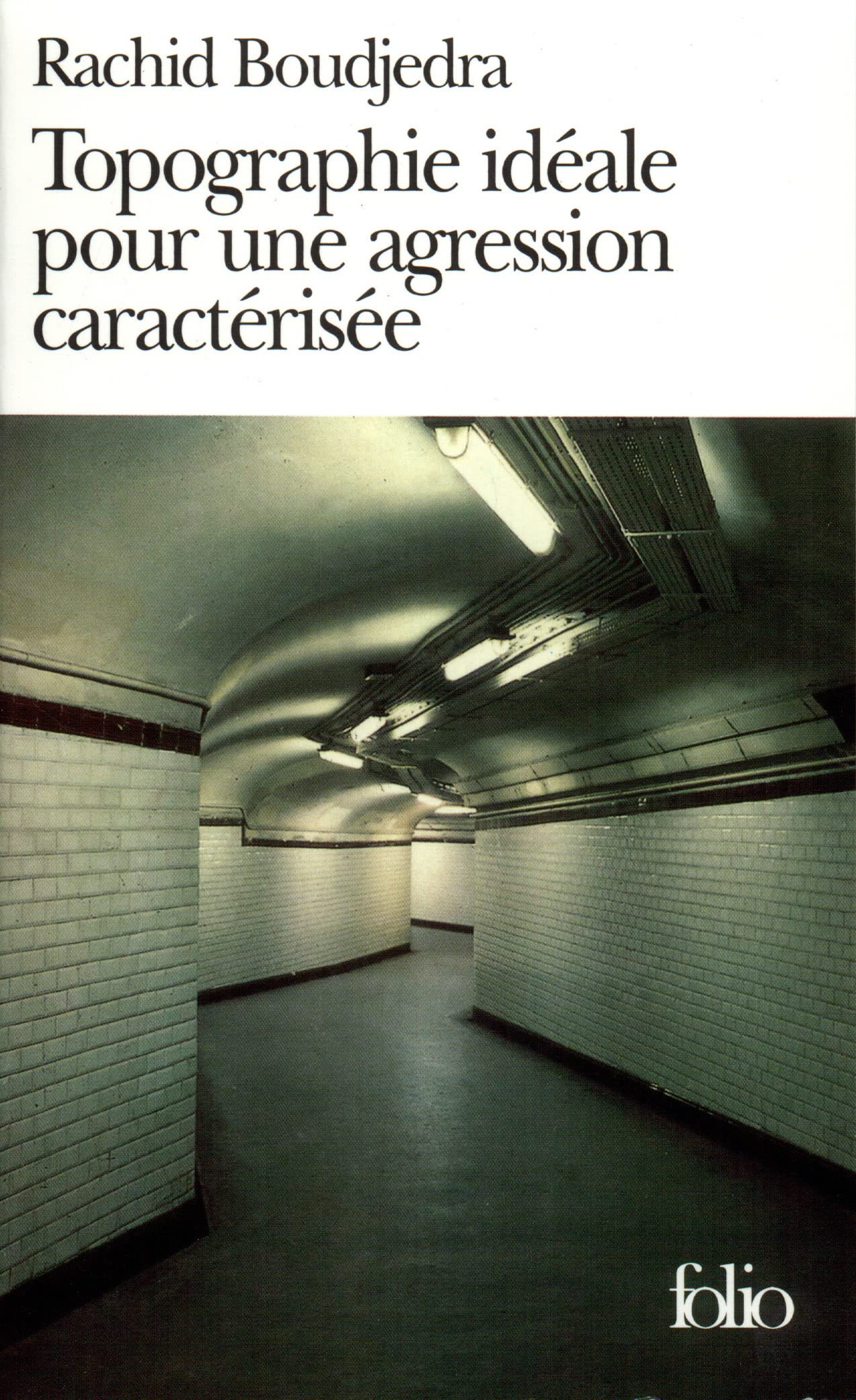 Topographie idéale pour une agression caractérisée 9782070377664