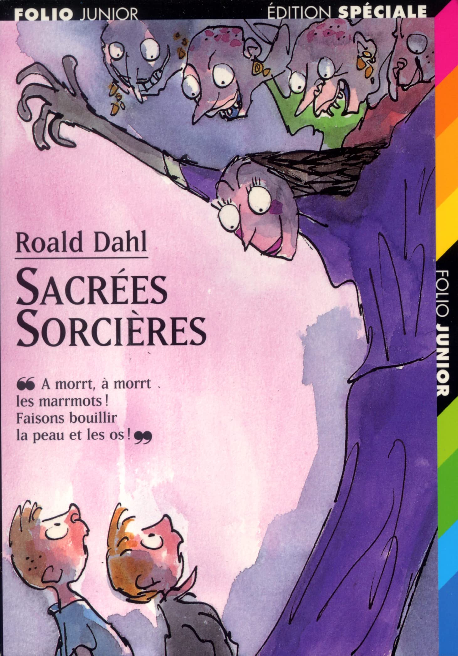 Sacrées sorcières 9782070513383