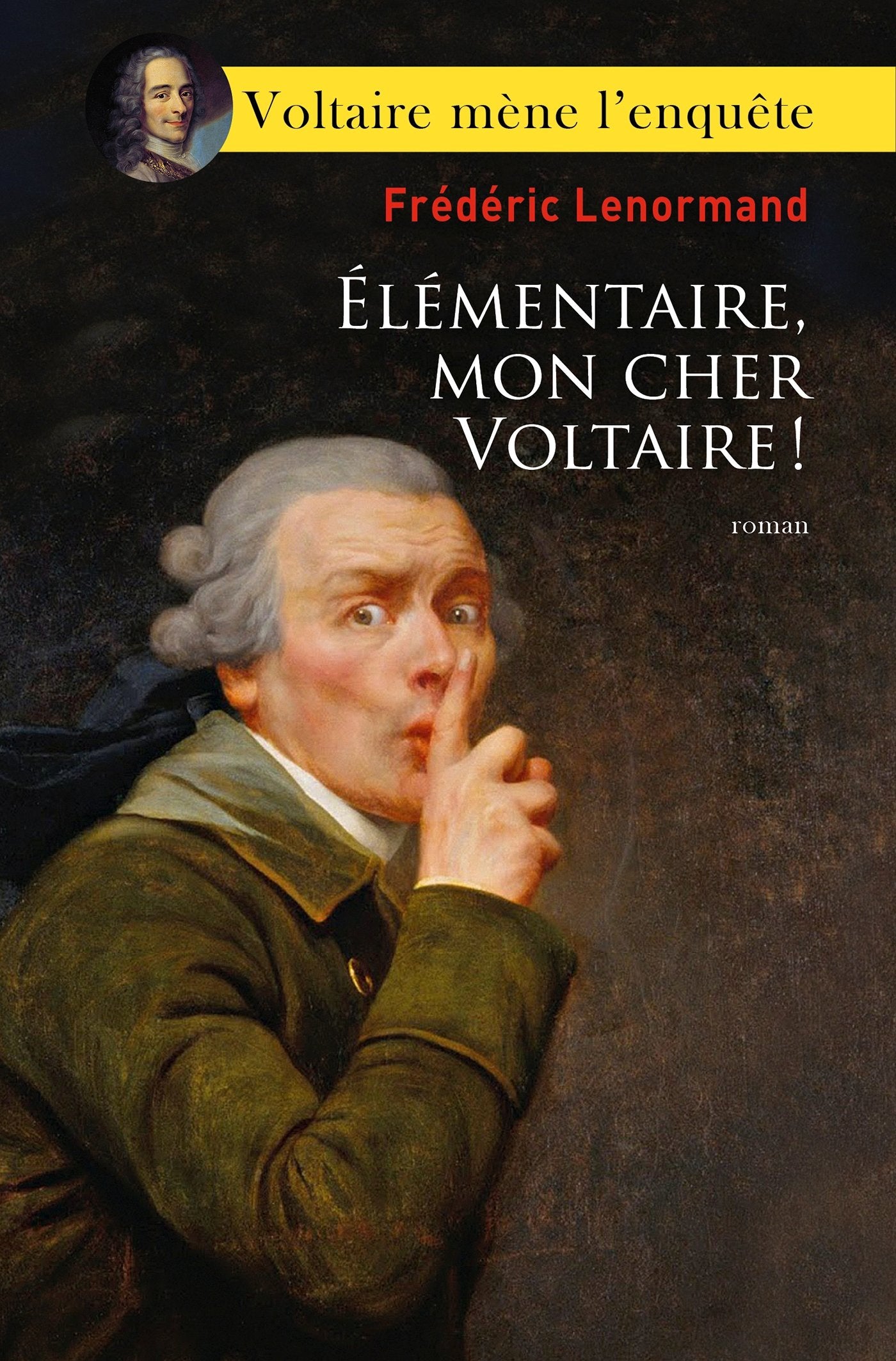 Élémentaire, mon cher Voltaire ! 9782709648615