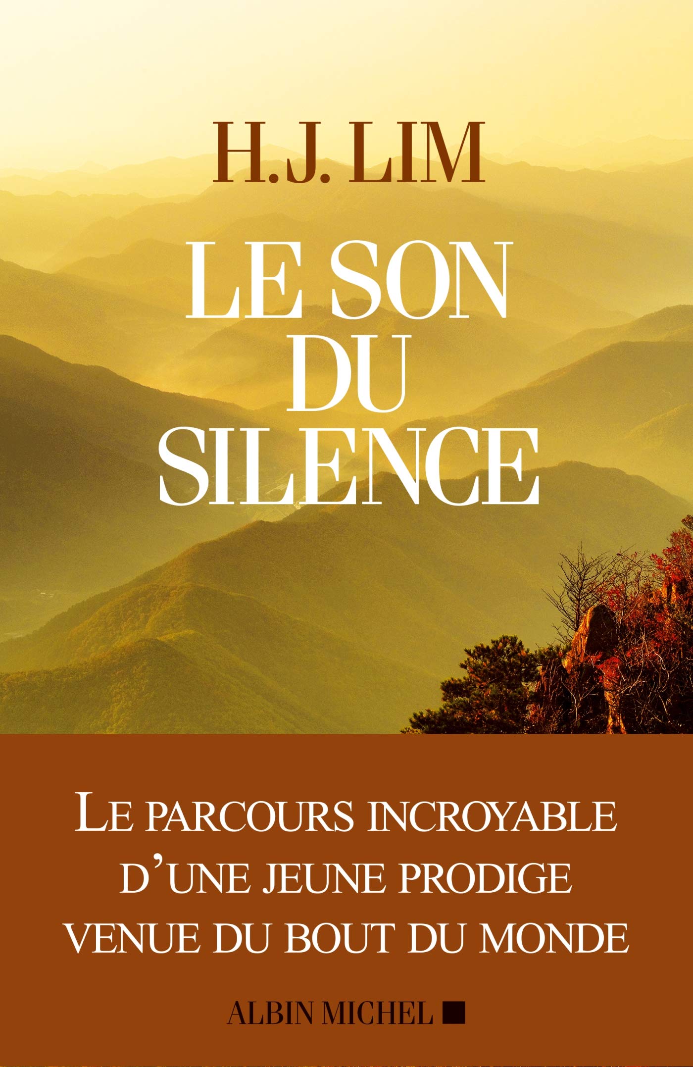 Le Son du silence 9782226320223