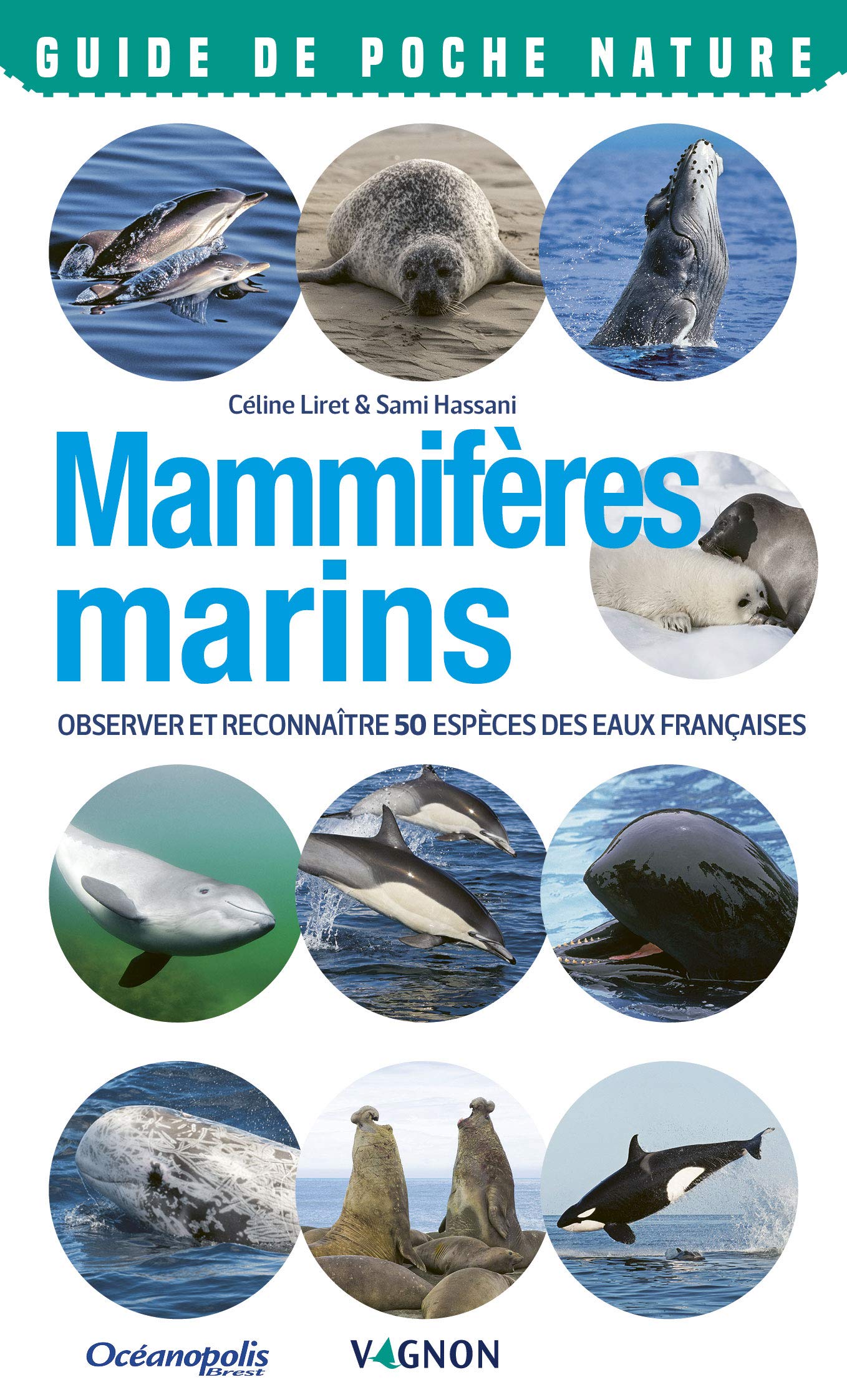 Mammifères marins. Observer et reconnaître 50 espèces des eaux françaises 9791027102938