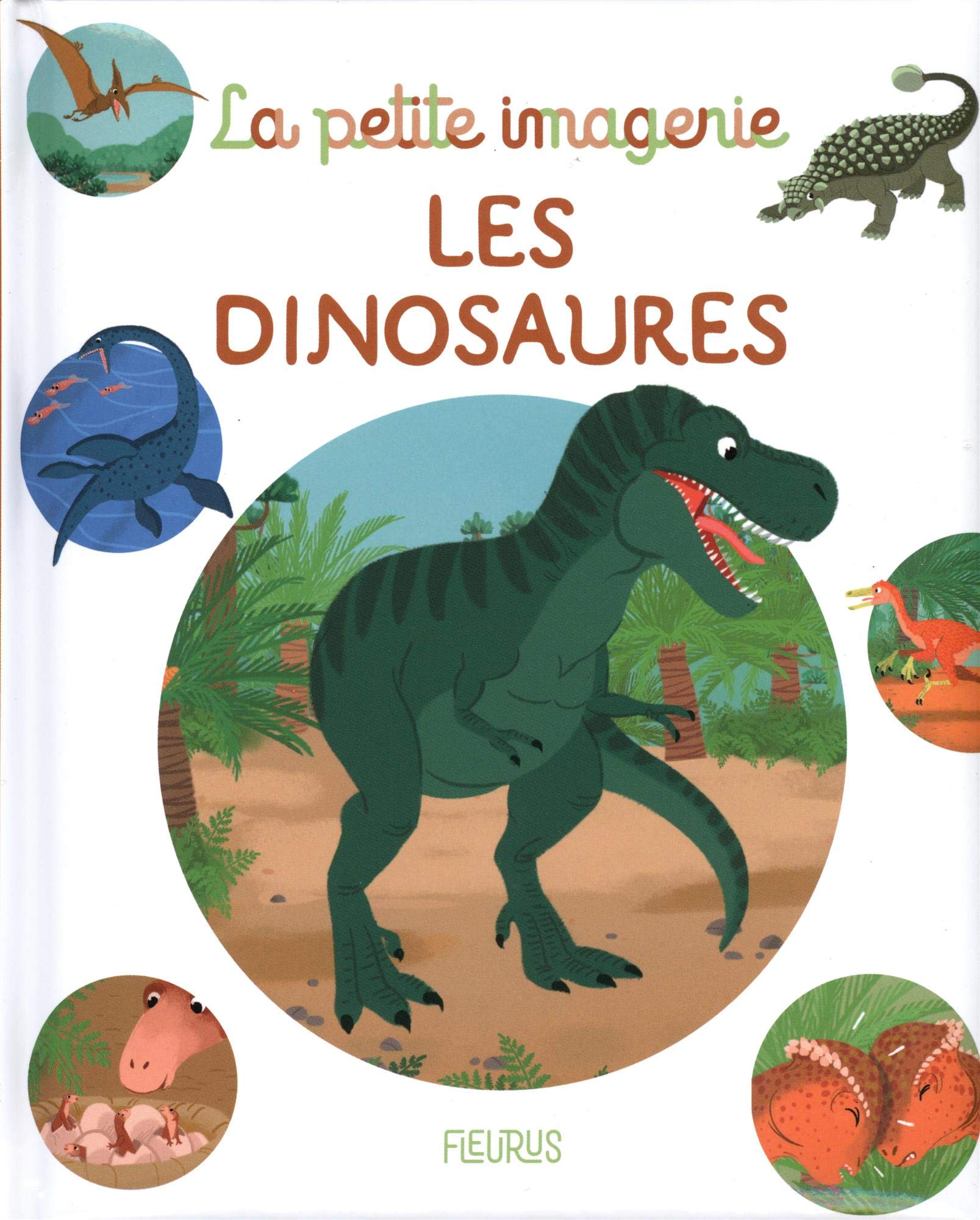 Les dinosaures 9782215169147