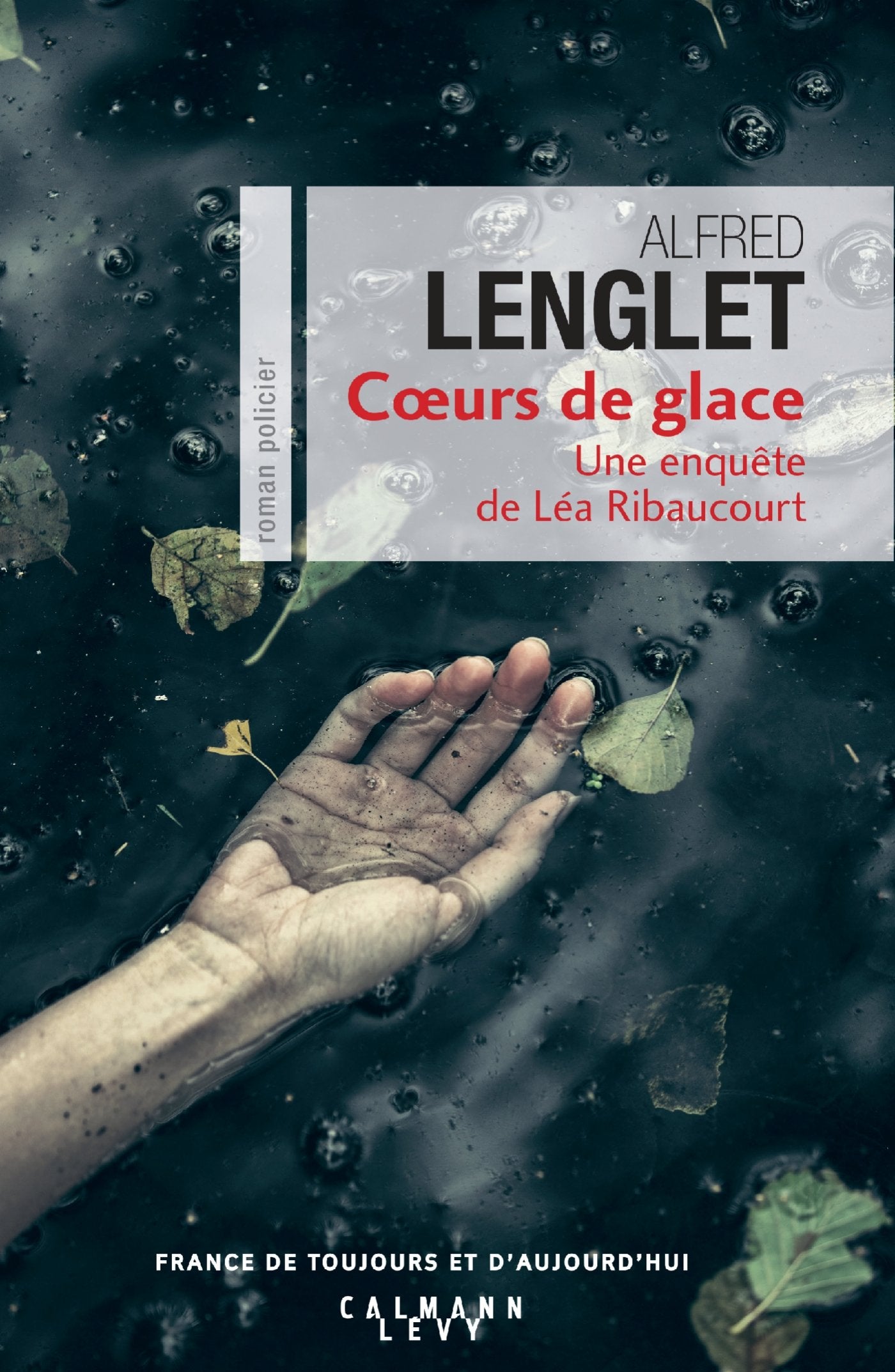 Coeurs de glace: Une enquête de Léa Ribaucourt 9782702161487